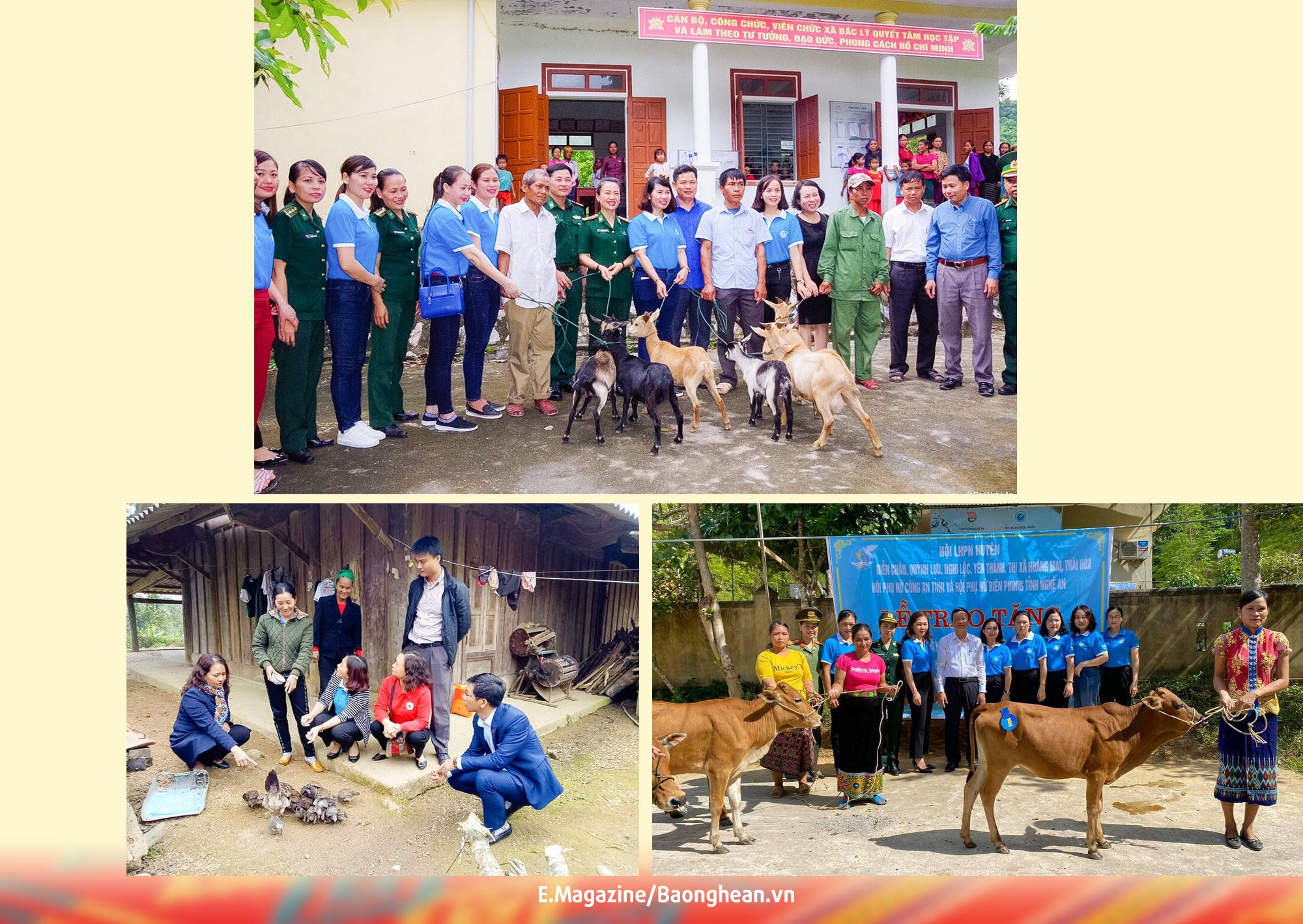 Hội Phụ nữ TX. Cửa Lò tặng bò giống cho phụ nữ nghèo xã Mỹ Lý (Kỳ Sơn); Hội Phụ nữ và Hội Chữ thập đỏ tỉnh thăm, tặng quà các hộ hội viên phụ nữ nghèo ở xã Na Ngoi; Trao tặng đàn bò sinh kế cho các hội viên Hội Phụ nữ trên địa bàn huyện Tương Dương. Ảnh: tư liệu HT - CSCC