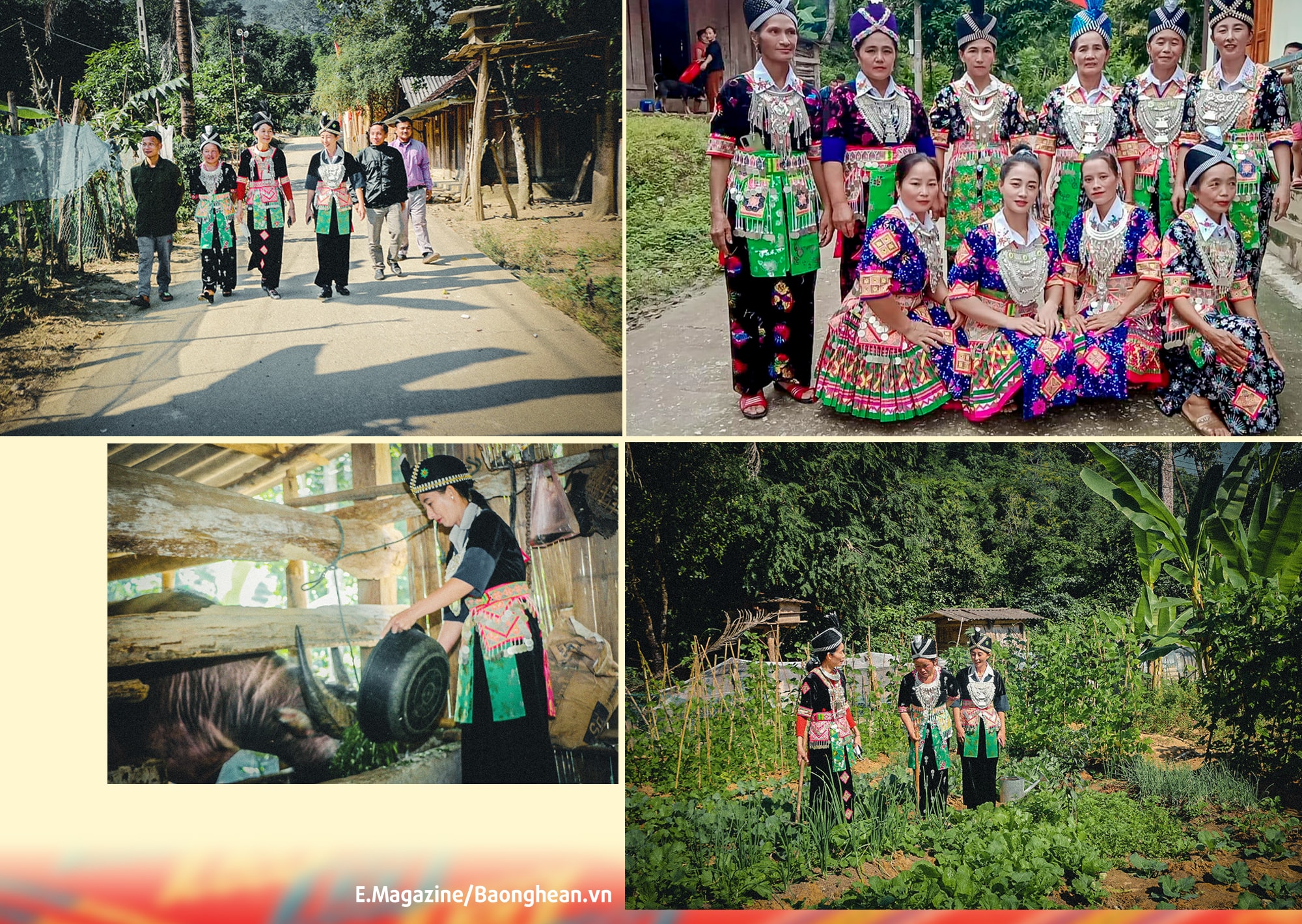 Bí thư Chi bộ bản Lưu Thông, xã Lưu Kiền, Tương Dương Vừ Y Dở (thứ ba, phải sang) cùng cán bộ bản kiểm tra công tác vệ sinh môi trường thôn bản; truyền truyền bảo tồn trang phục truyền thống của người Mông; Chị Vừ Y Dở tiên phong trong phát triển kinh tế; Thăm vườn rau của chị em phụ nữ. Ảnh: KL