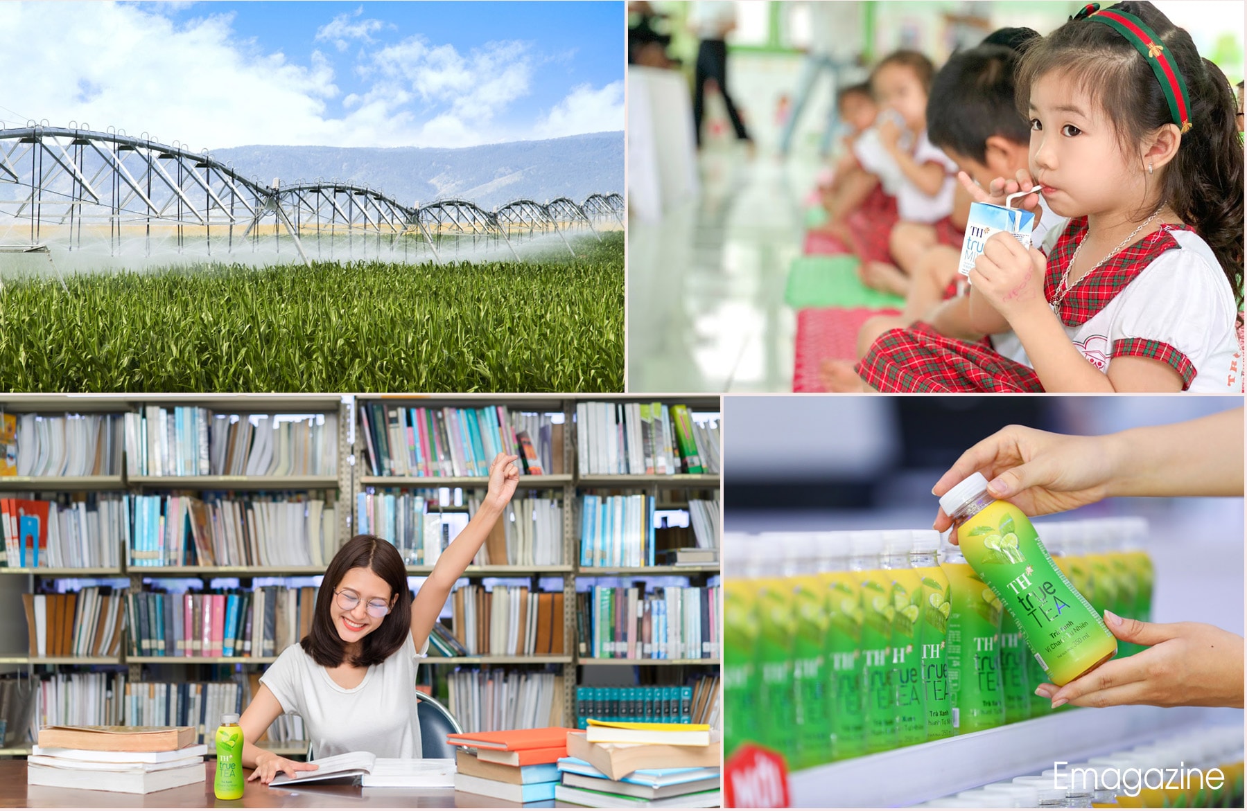 Bà Thái Hương đã cùng TH tiên phong tạo ra các xu hướng tiêu dùng tốt hơn cho sức khỏe, hướng tới phát triển bền vững, mở ra những cơ hội lớn cho toàn bộ thị trường.