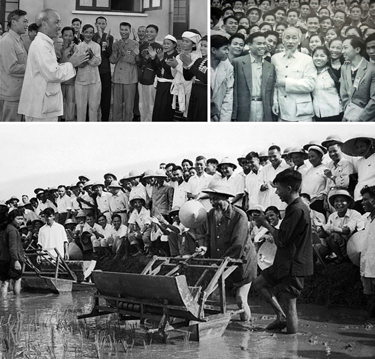 Ảnh trái sang, trên xuống: Bác Hồ gặp mặt thân mật các đại biểu dự Đại hội liên hoan Anh hùng, Chiến sỹ thi đua ngành nông nghiệp và đổi công toàn quốc tại Hà Nội (23/5/1957); Bác Hồ chụp ảnh cùng các đại biểu thanh niên tham gia Đại hội Đoàn toàn quốc lần III, tại Hà Nội, năm 1961; Bác Hồ đến thăm Sở Nông Lâm Hà Nội và sử dụng thử chiếc máy cấy tại ruộng thí nghiệm của Sở (7/1960). Ảnh: Tư liệu