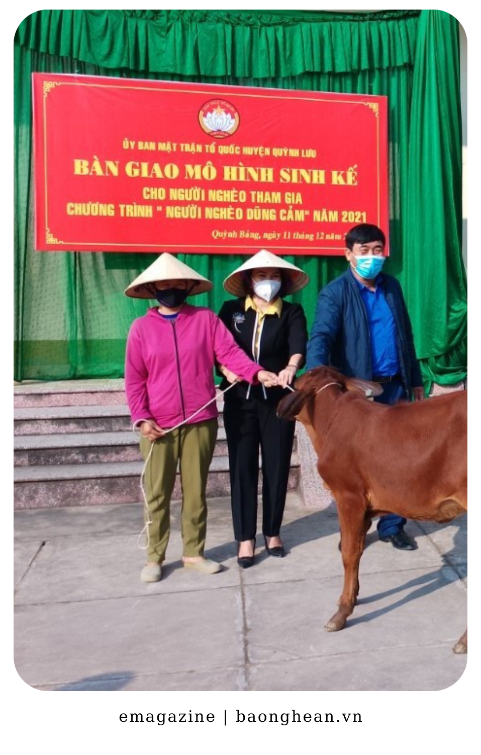 Các đơn vị hỗ trợ bò giống cho người nghèo.