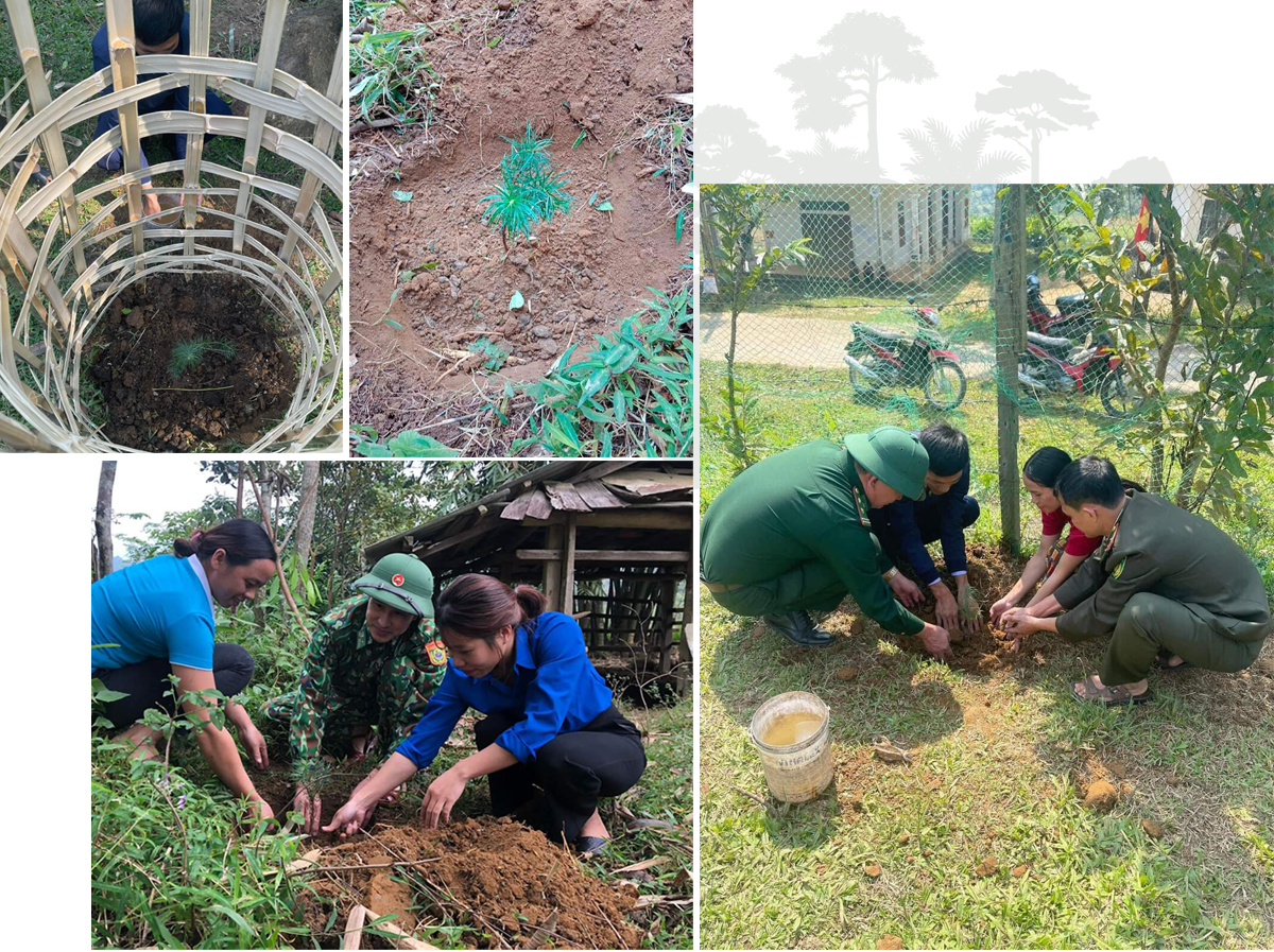 Khu Bảo tồn thiên nhiên Pù Hoạt, Ban Dân vận Huyện ủy Quế Phong, Đảng ủy - UBND xã Nậm Giải, Đồn Biên phòng Hạnh Dịch và nhân dân bản Piềng Lâng tổ chức trồng cây Sa mu.