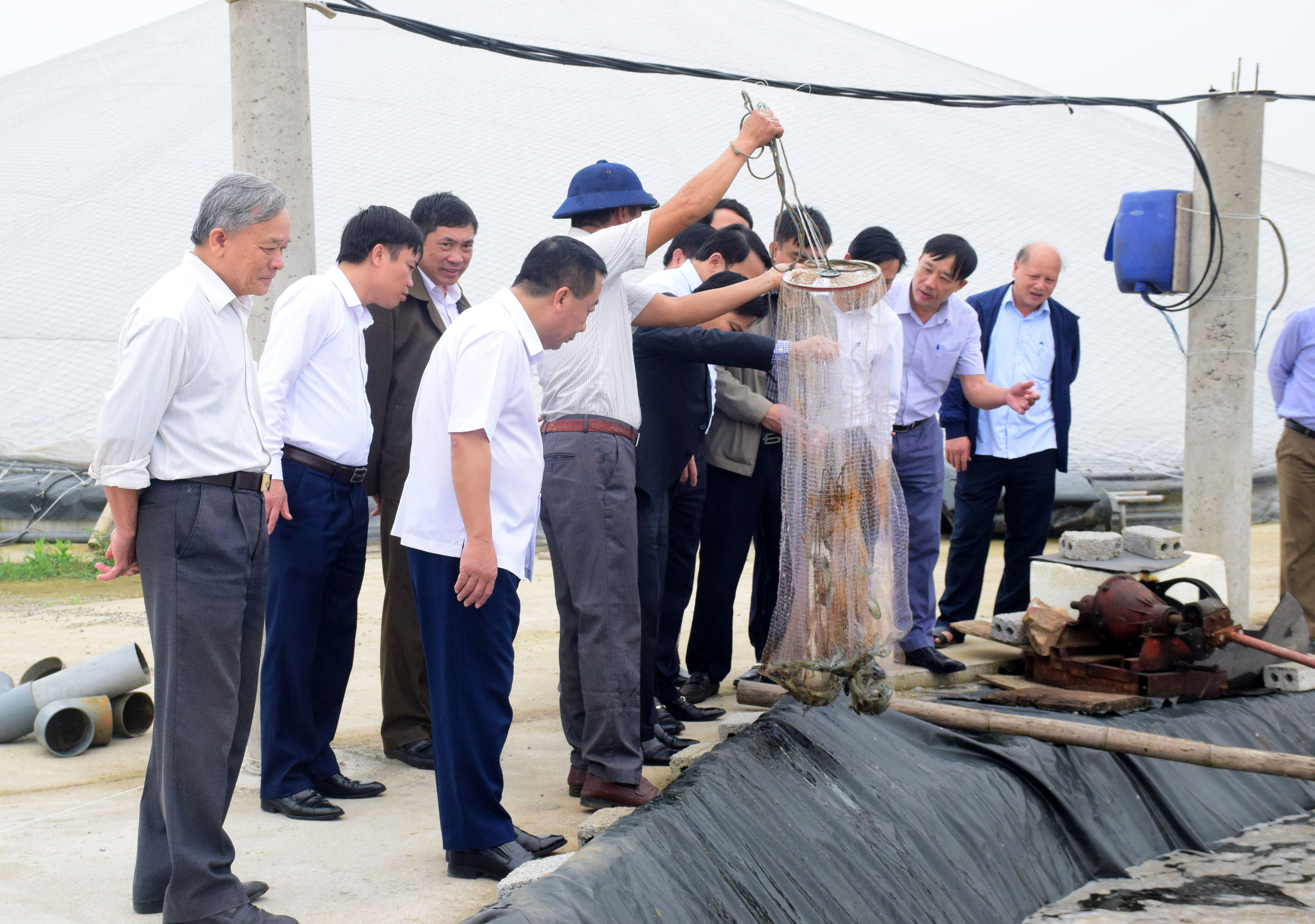 Đoàn thẩm tra UBND tỉnh tham quan mô hình nuôi tôm công nghệ cao trên địa bàn xã Diễn Trung. Ảnh: Xuân Hoàng