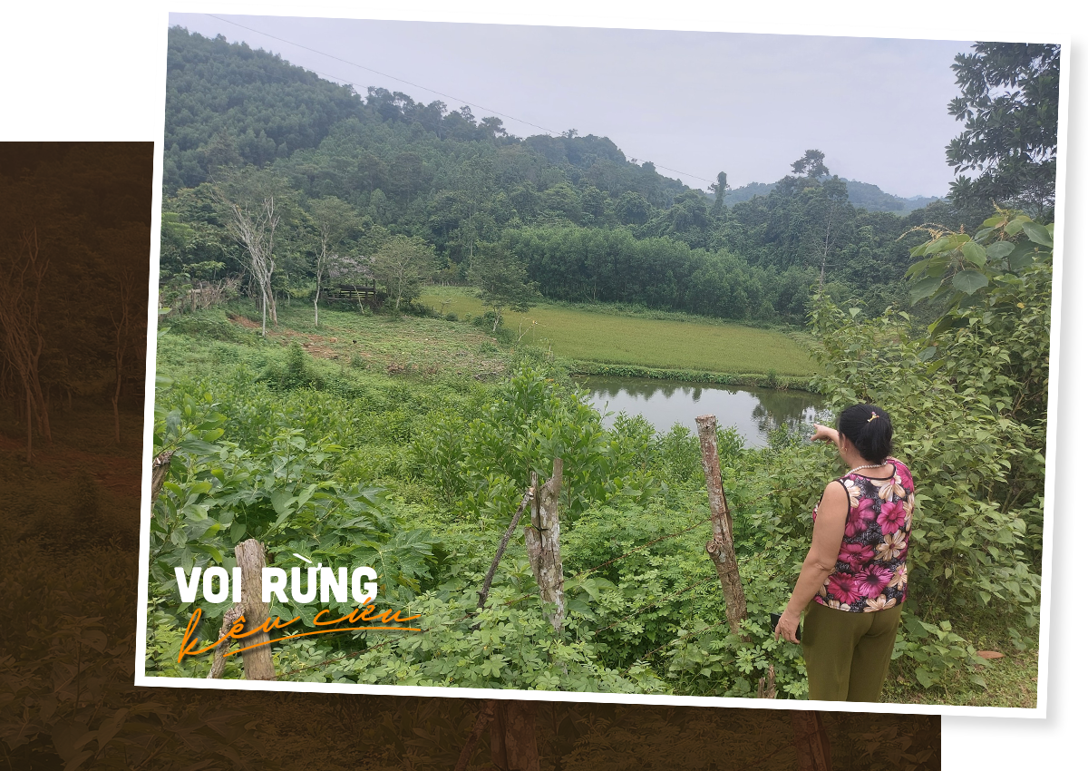 Bà Danh chỉ vào vũng nước voi thường về uống. Vì thế mà vũng nước này được gọi là vũng voi.
