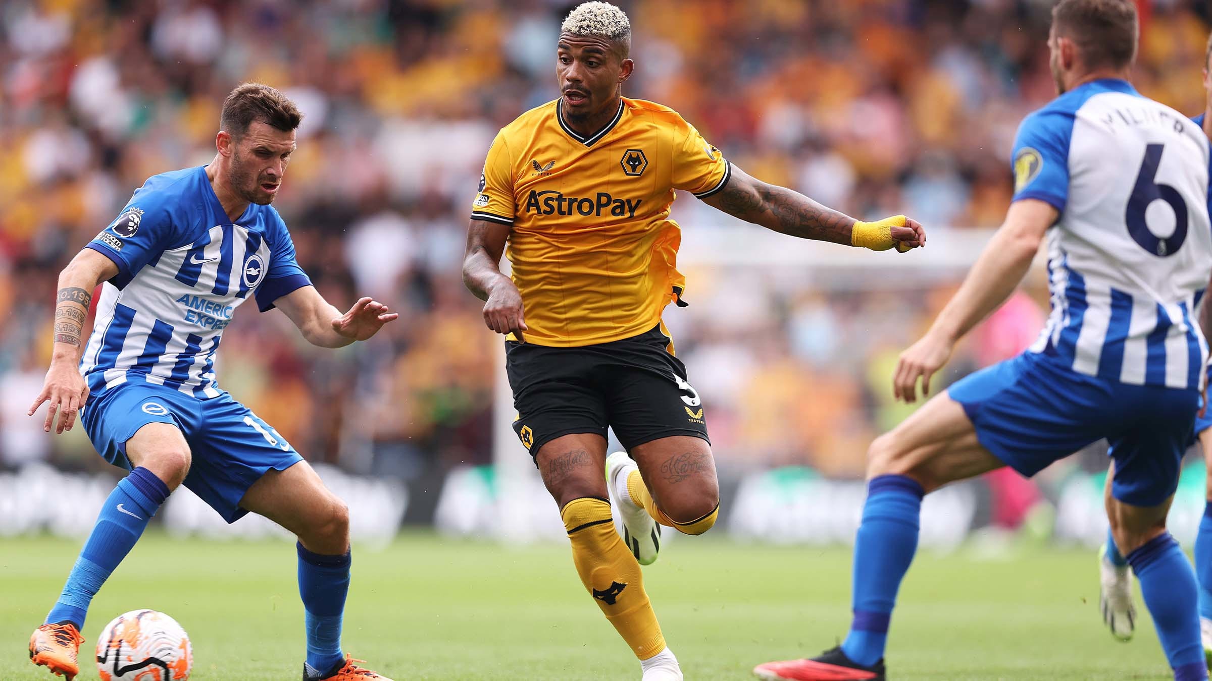 Nhận định Brighton vs Wolves: Chim mòng biển khuất phục Bầy sói