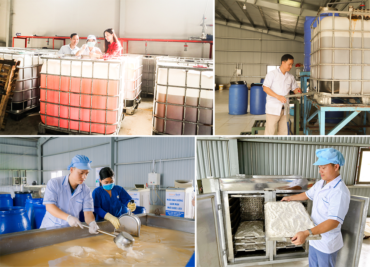 Một số quy trình trong sản xuất muối dinh dưỡng từ mật muối: Mật muối được mua về, kiểm nghiệm khoáng chất; sau đó lọc sạch tạp chất để đưa vào chế biến.