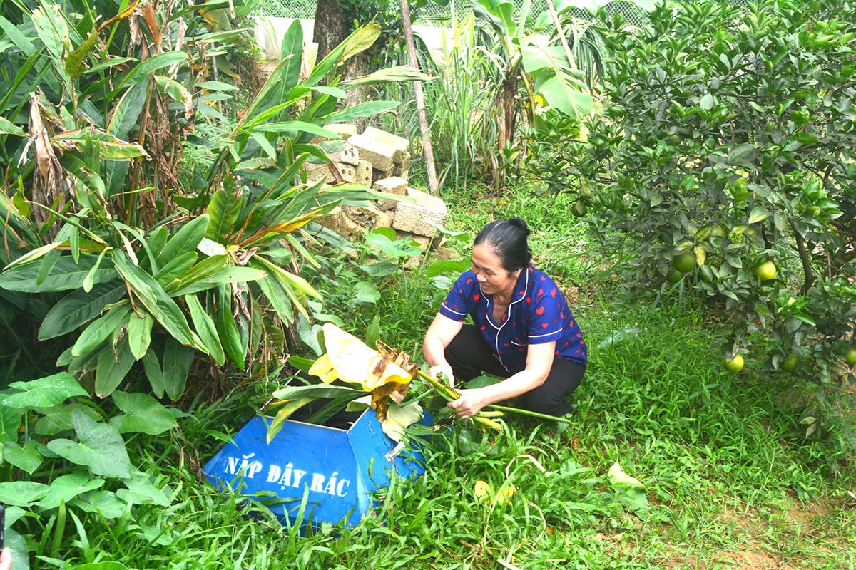 Mô hình hố rác thải hữu cơ của nông dân Thanh Chương. Ảnh: Thanh Phúc