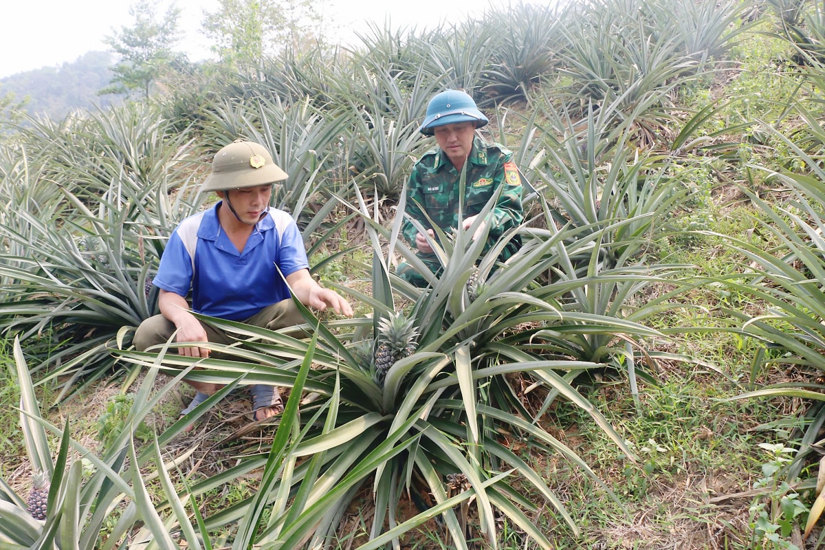 Phó bản Huồi Sơn Vừ Bá Mà (trái ảnh) giới thiệu mô hình trồng dứa. Ảnh: Gia Huy