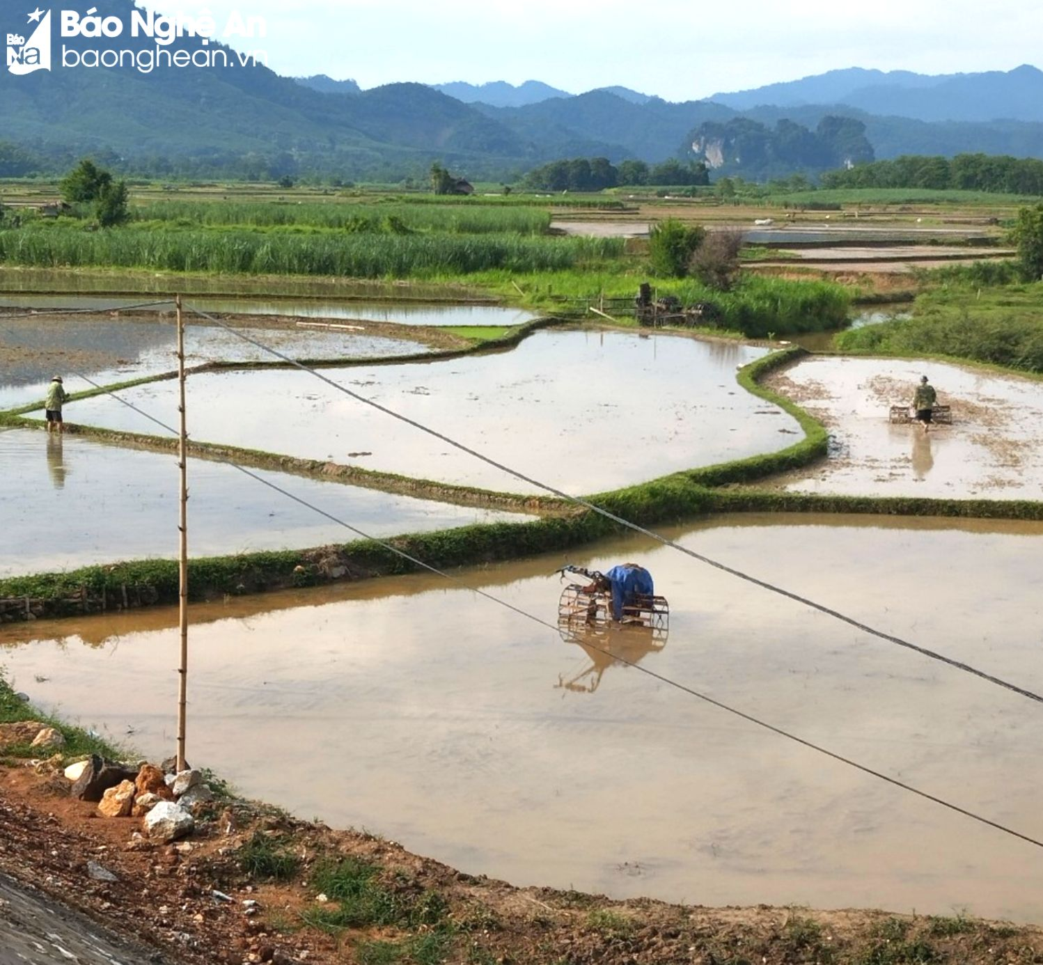 bna_Người dân Châu Bính Quỳ Châu chủ động nguồn nước gieo cấy lúa vụ mùa Ảnh CSCC.png