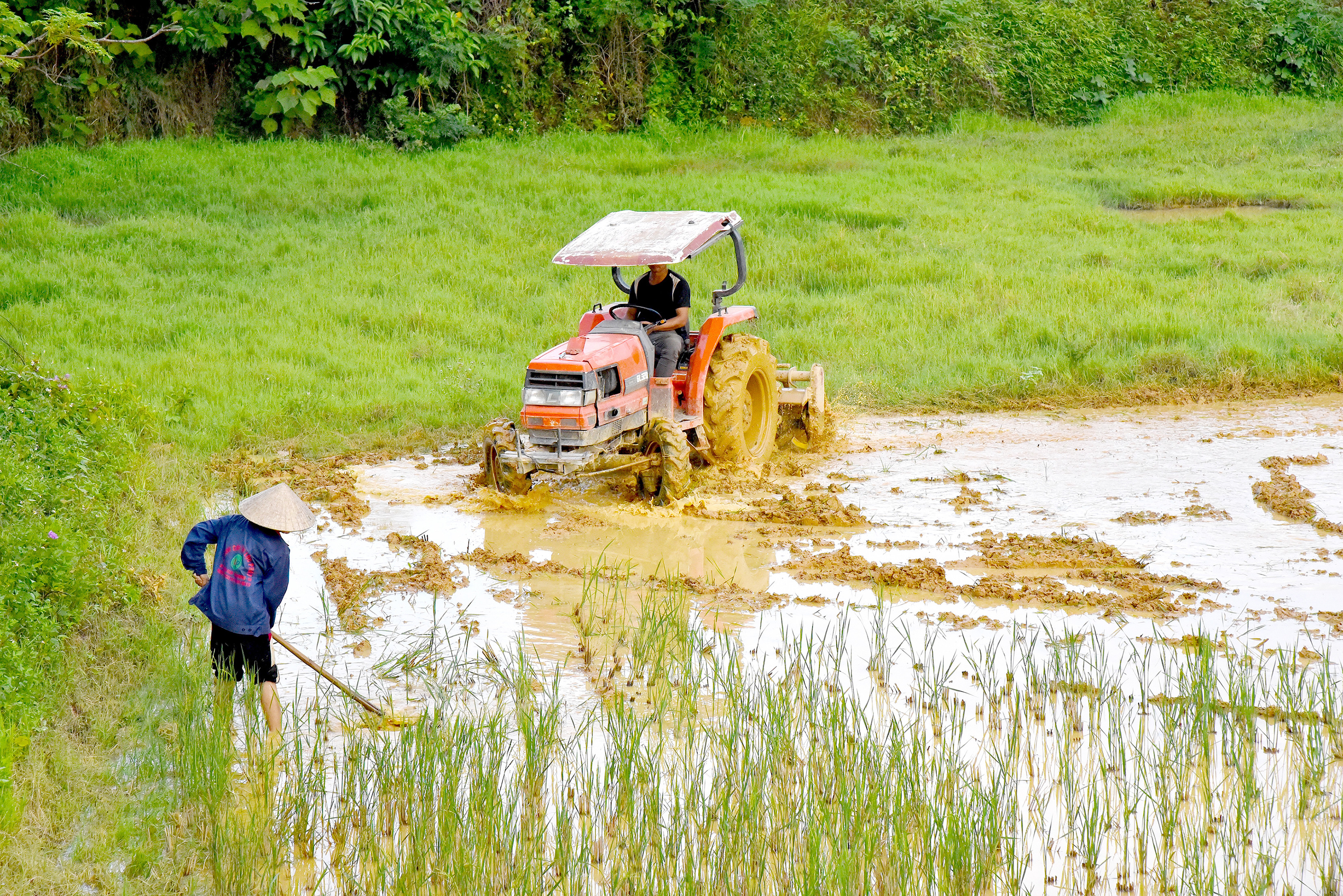 bna_Người dân thôn Bãi Sở xã tam Quang thuê máy bơm nước lên ruộng và làm đất cấy lúa vụ mùaDSC_0826.JPG