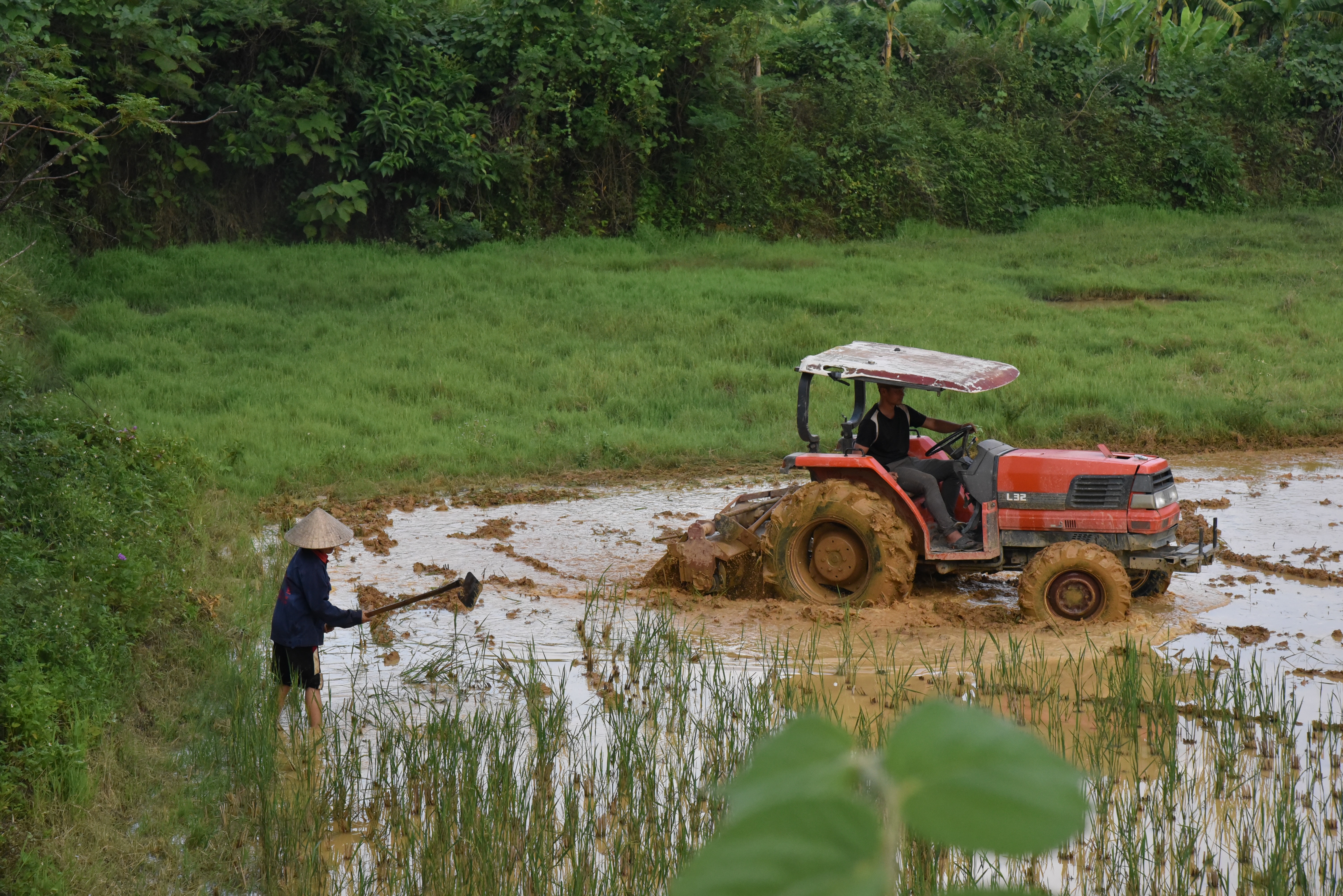 Người dân thôn Bãi Sở, xã Tam Quang (Tương Dương) đầu tư thuê máy bơm nước và làm đất gieo cấy lúa vụ mùa 2023. Ảnh: Hoài Thu