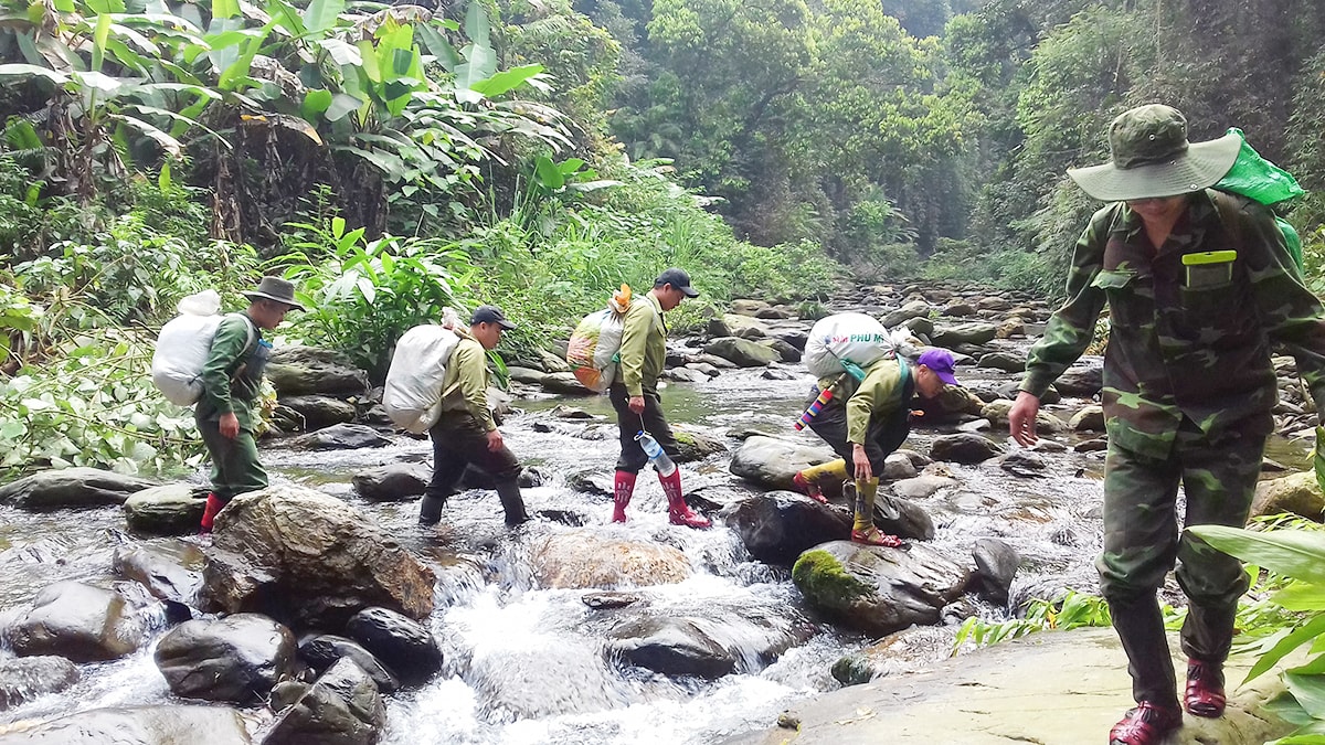 Công tác quản lý và bảo vệ rừng sẽ được HĐND tỉnh thảo luận, xem xét tại kỳ họp lần thứ 14.
