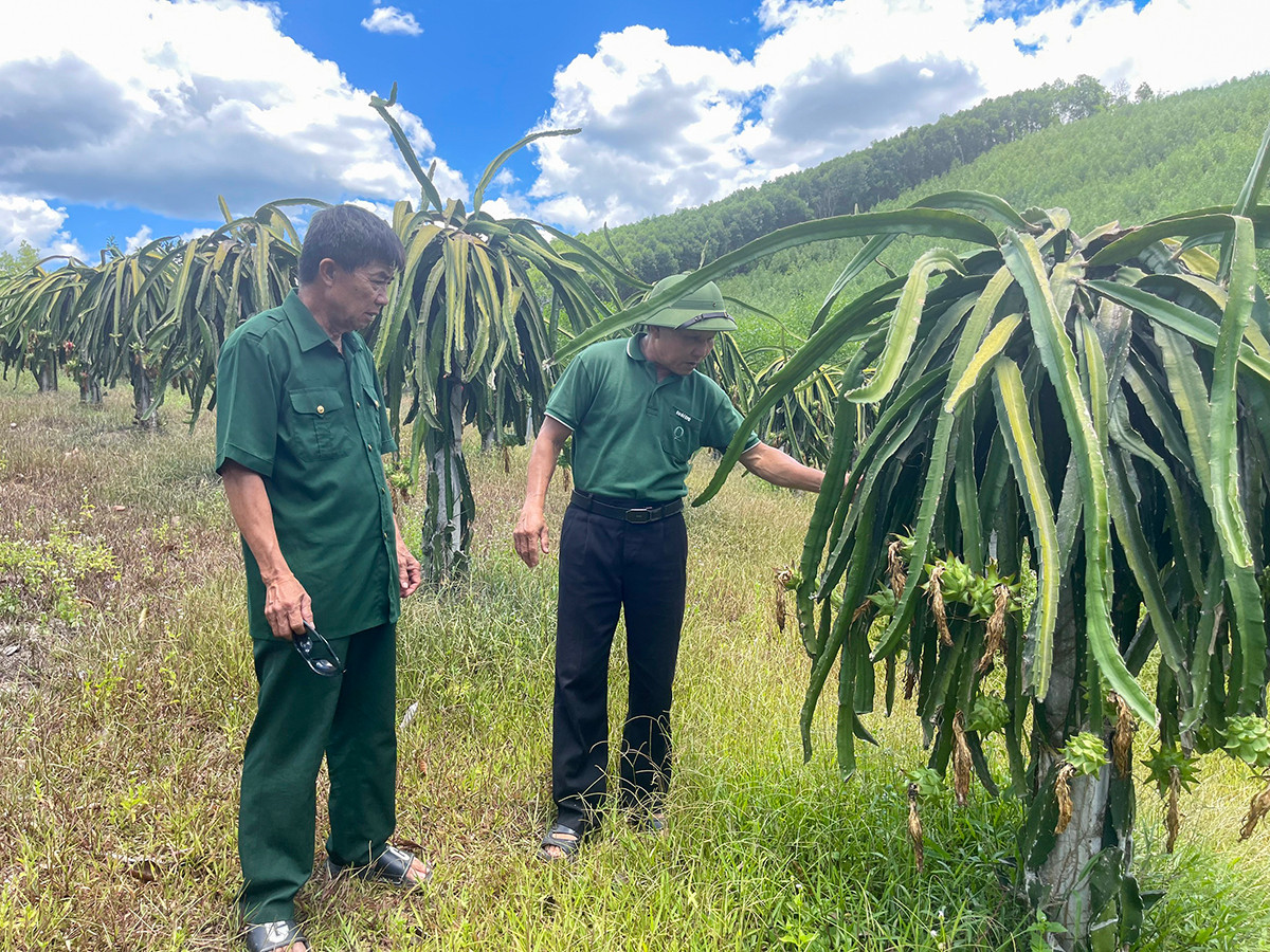 Ông Hùng (bên trái) thăm một mô hình vườn mẫu tại thôn Sơn Thịnh. Ảnh Tiến Đông.jpg