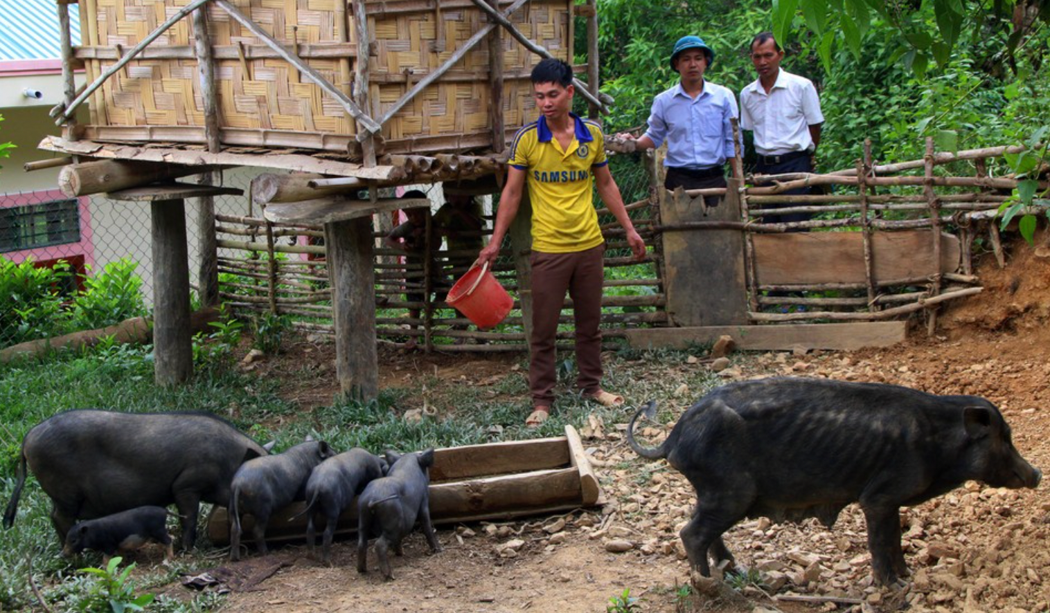 bna_Lãnh đạo xã Bắc Lý kiểm tra tình hình dịch bệnh trên đàn lợn ở bnr Buộc ảnh tư liệu Hữu vi.png