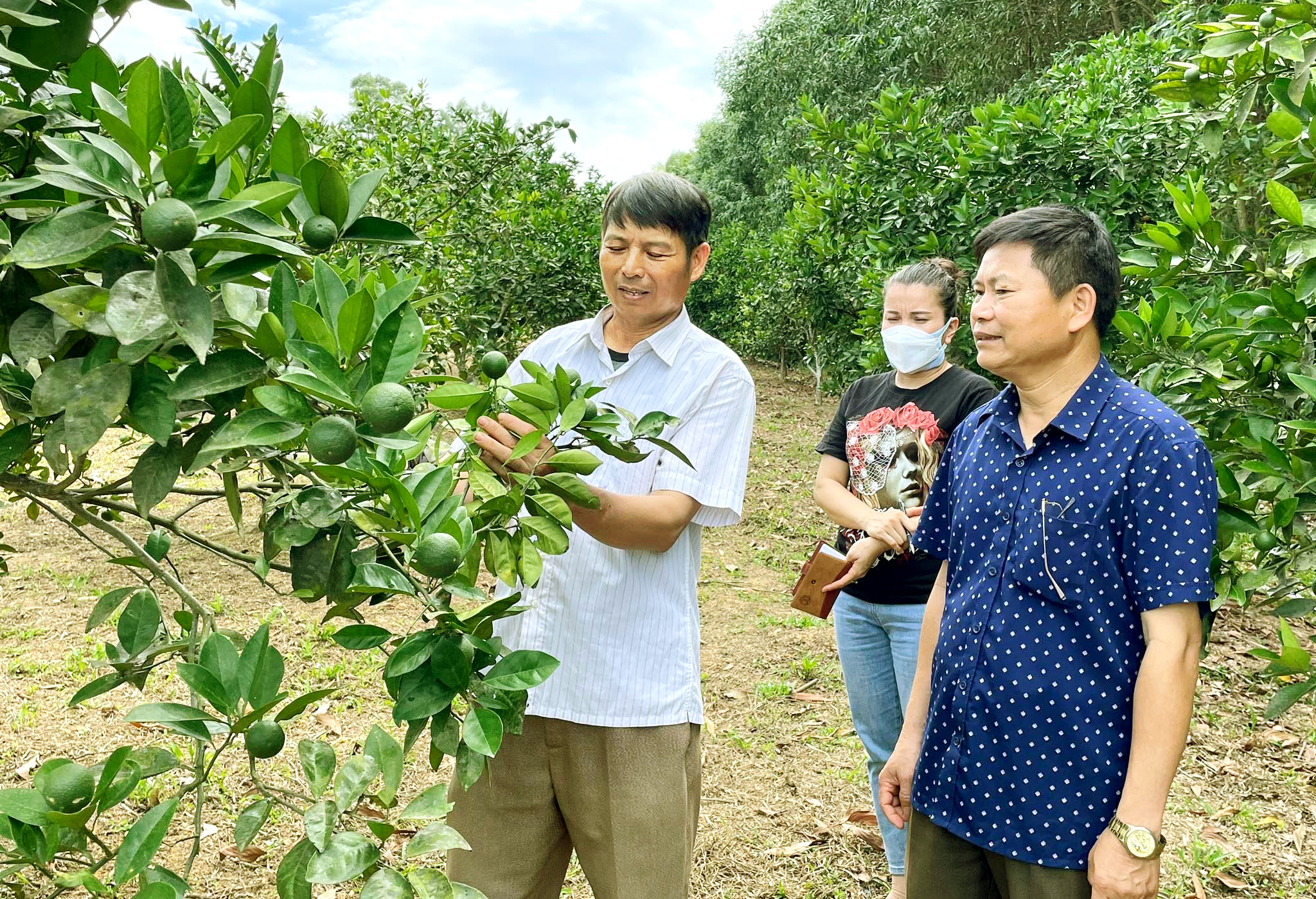 bna_ mô hình trồng cây ăn quả của mô hình giáo dân Ngô Văn Lành xóm Cồn cả xã Nghĩa Lộc- Minh Thái.jpg