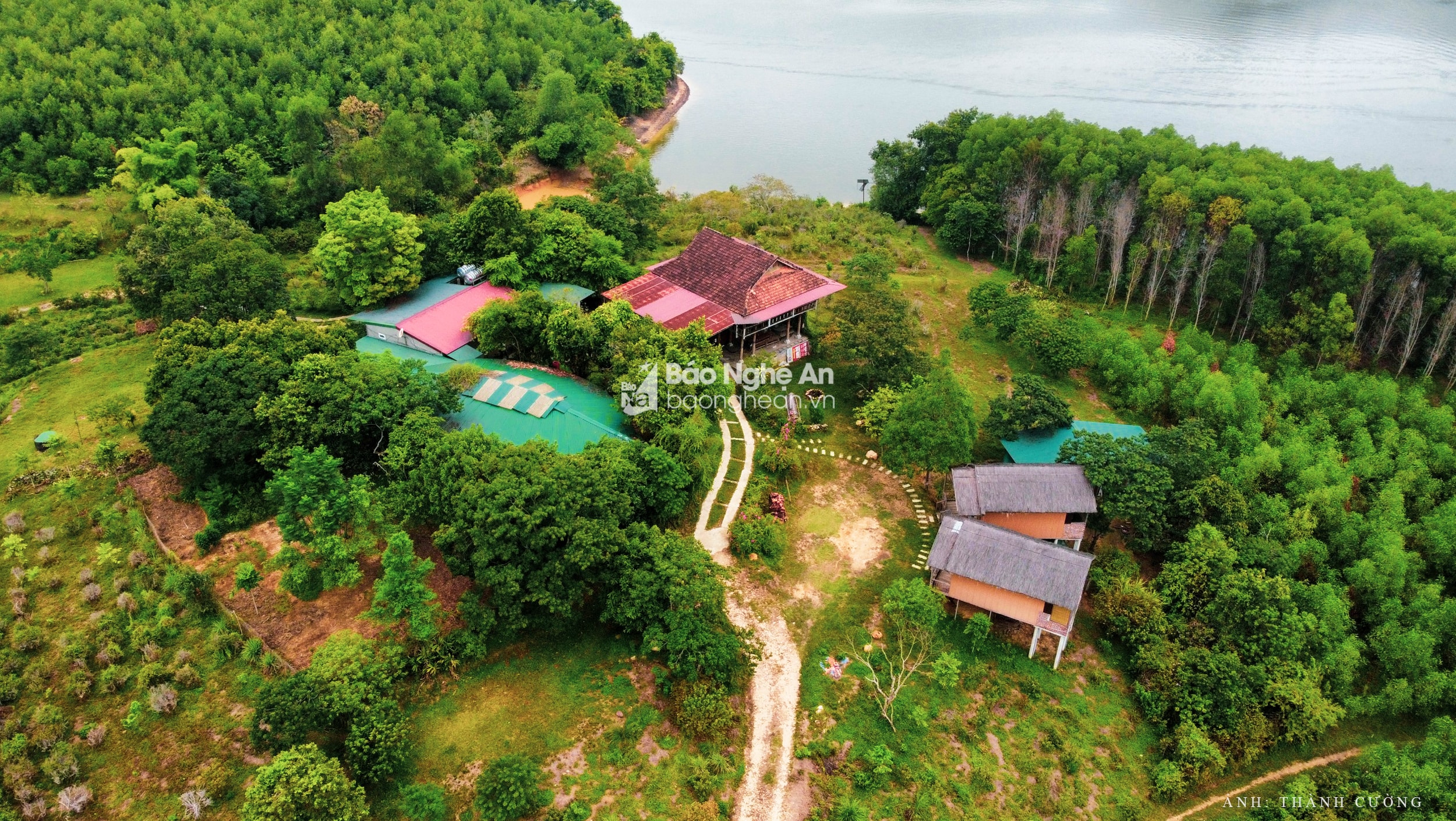 Trong vùng quy hoạch Đảo Chè, từ nhiều năm trước đã có một số hộ dân tổ chức dịch vụ kinh doanh du lịch theo mô hình homestay.