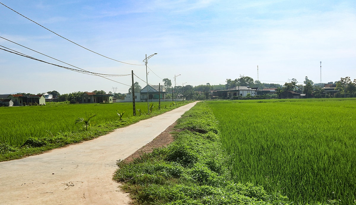 Đường nội đồng ở xóm 6, xã Quỳnh Tam (Quỳnh Lưu) được bê tông hóa sau chuyển đổi. Ảnh: T.P