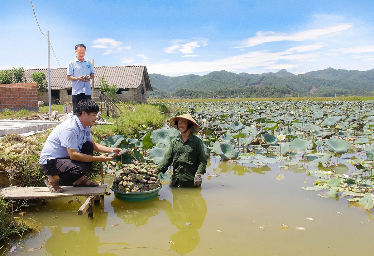 Đồng chí Phan Bá Ngọc - Bí thư Đảng ủy, Chủ tịch UBND xã Thanh Liên (Thanh Chương) trao đổi với người dân về mô hình kinh tế. Ảnh: Mai Hoa