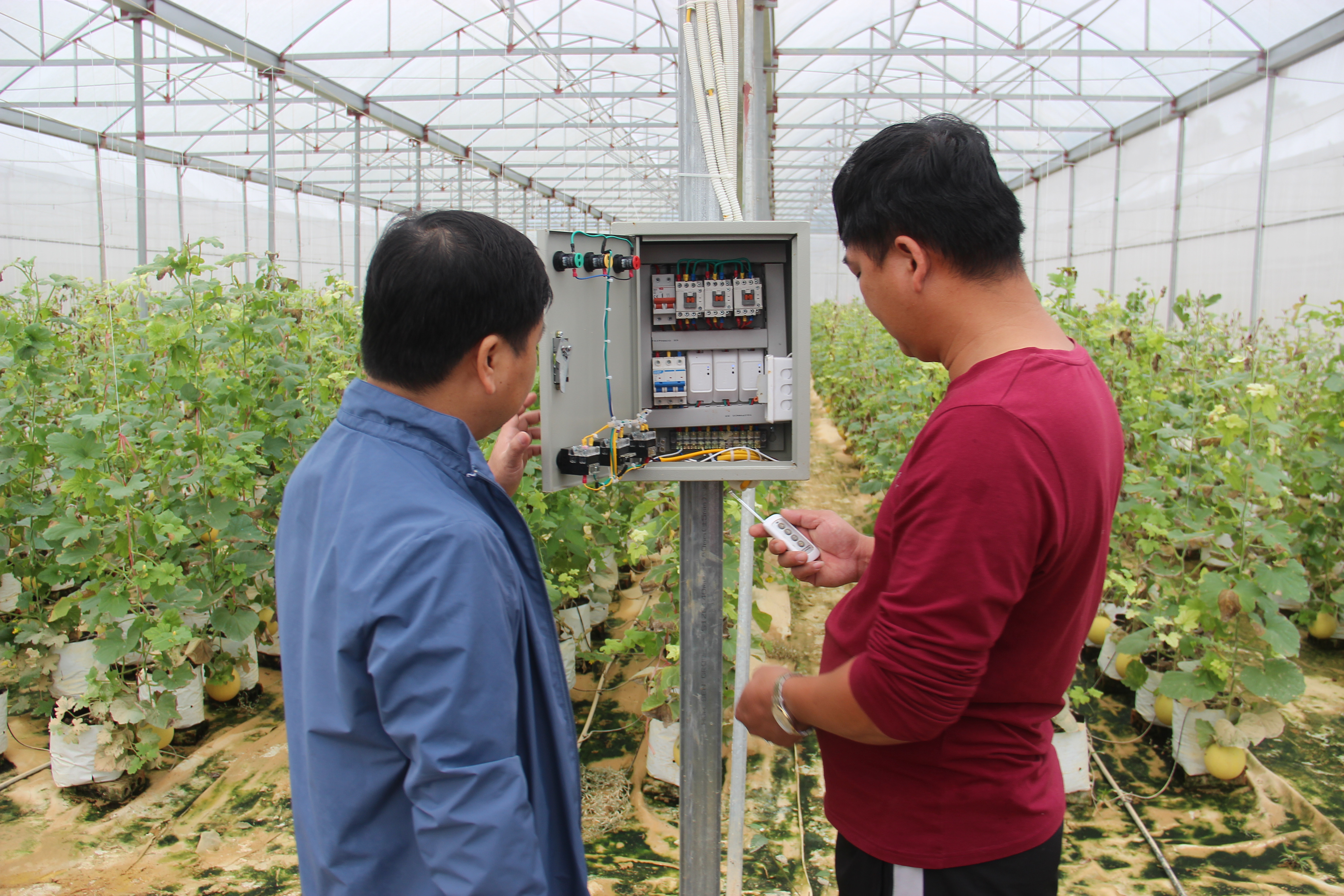 bna_ Bud Hill Farm - Trang trại Đồi Chồi úng dụng công nghệ cao vào sản xuất tại Đô Lương.JPG