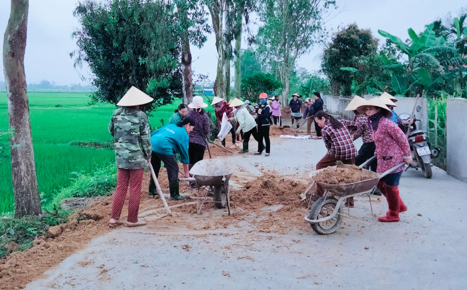 bna_ Cán bộ, hội viên, phụ nữ xã Nam Lĩnh, huyện Nam Đàn đắp lề đường trồng hoa.jpg