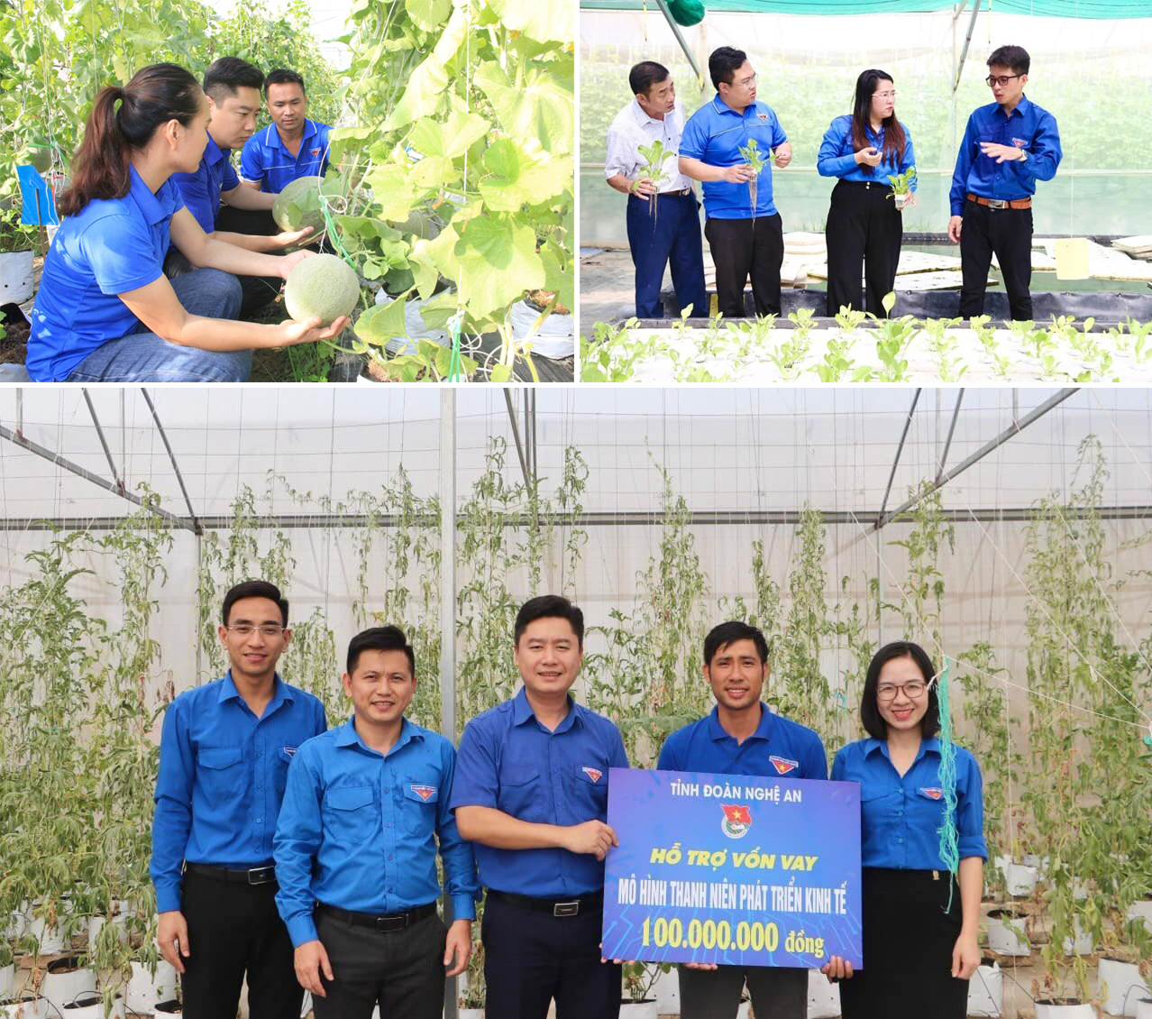 Nhiều cán bộ Đoàn, đoàn viên không chỉ tiên phong trong nhiệm vụ công tác mà còn năng động trong phát triển kinh tế.