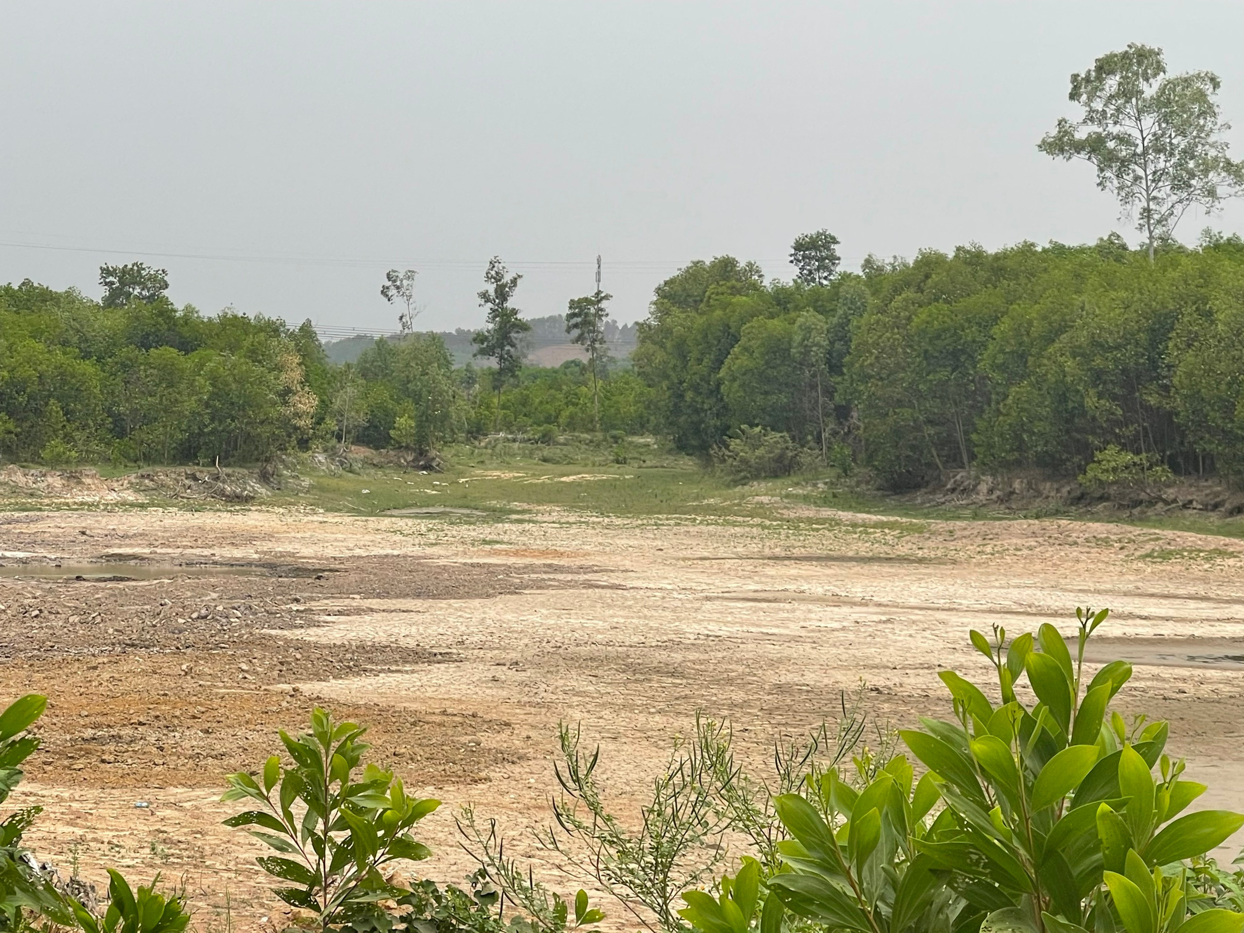 BNA_một hồ chứa trên địa bàn xã Bảo Thành, Yên Thành bị khô cạn.jpg