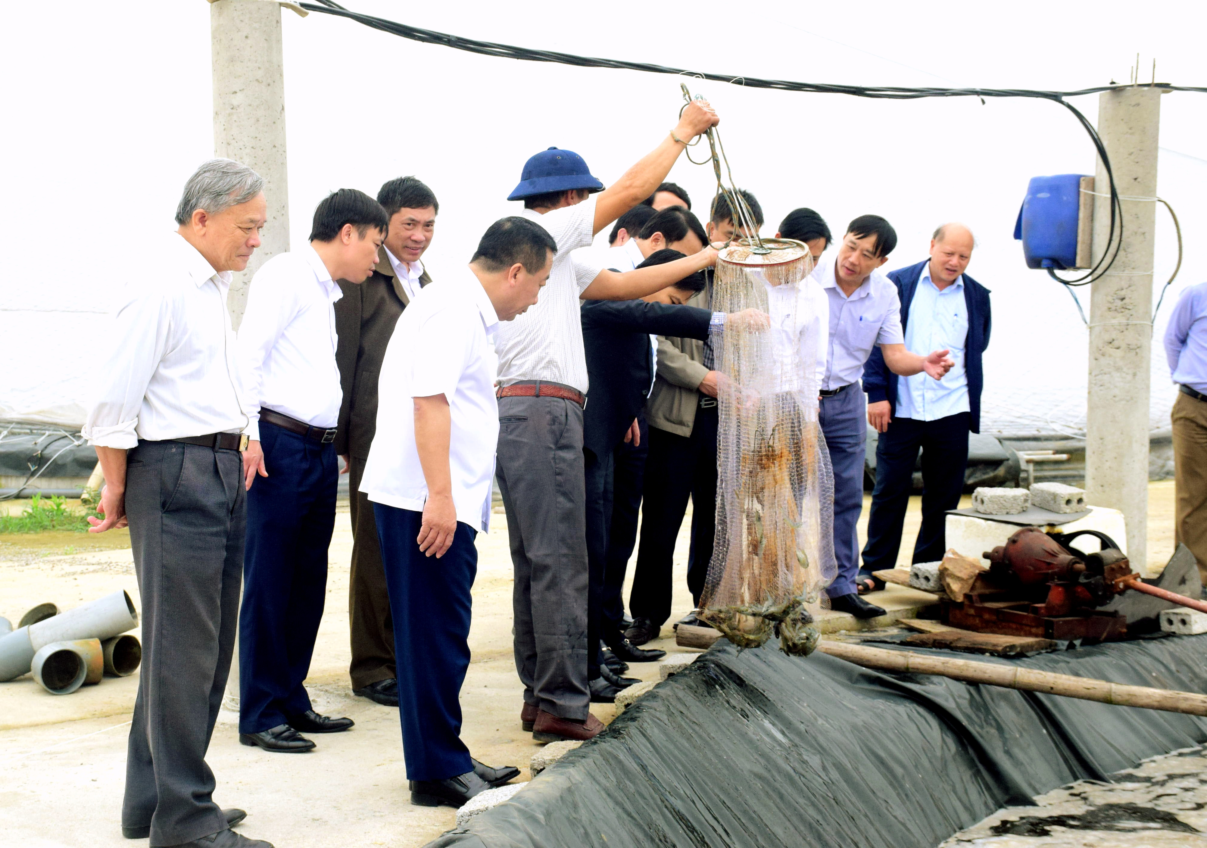 bna_Đoàn thẩm tra UBND tỉnh tham quan mô hình nuôi tôm công nghệ cao trên địa bàn xã Diễn Trung.jpg