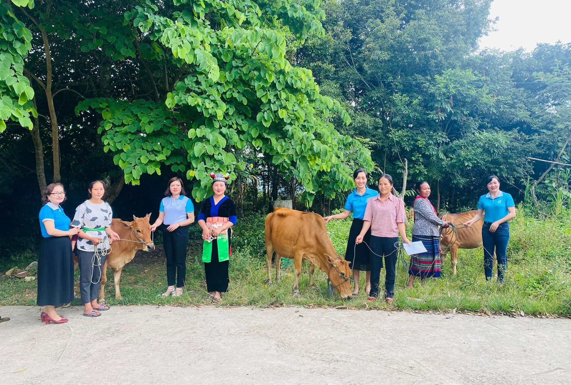 bna_ Hội LHPN huyện Kỳ Sơn hỗ trợ mô hình sinh kế bò sinh sản cho hội viên phụ nữ nghèo.jpeg