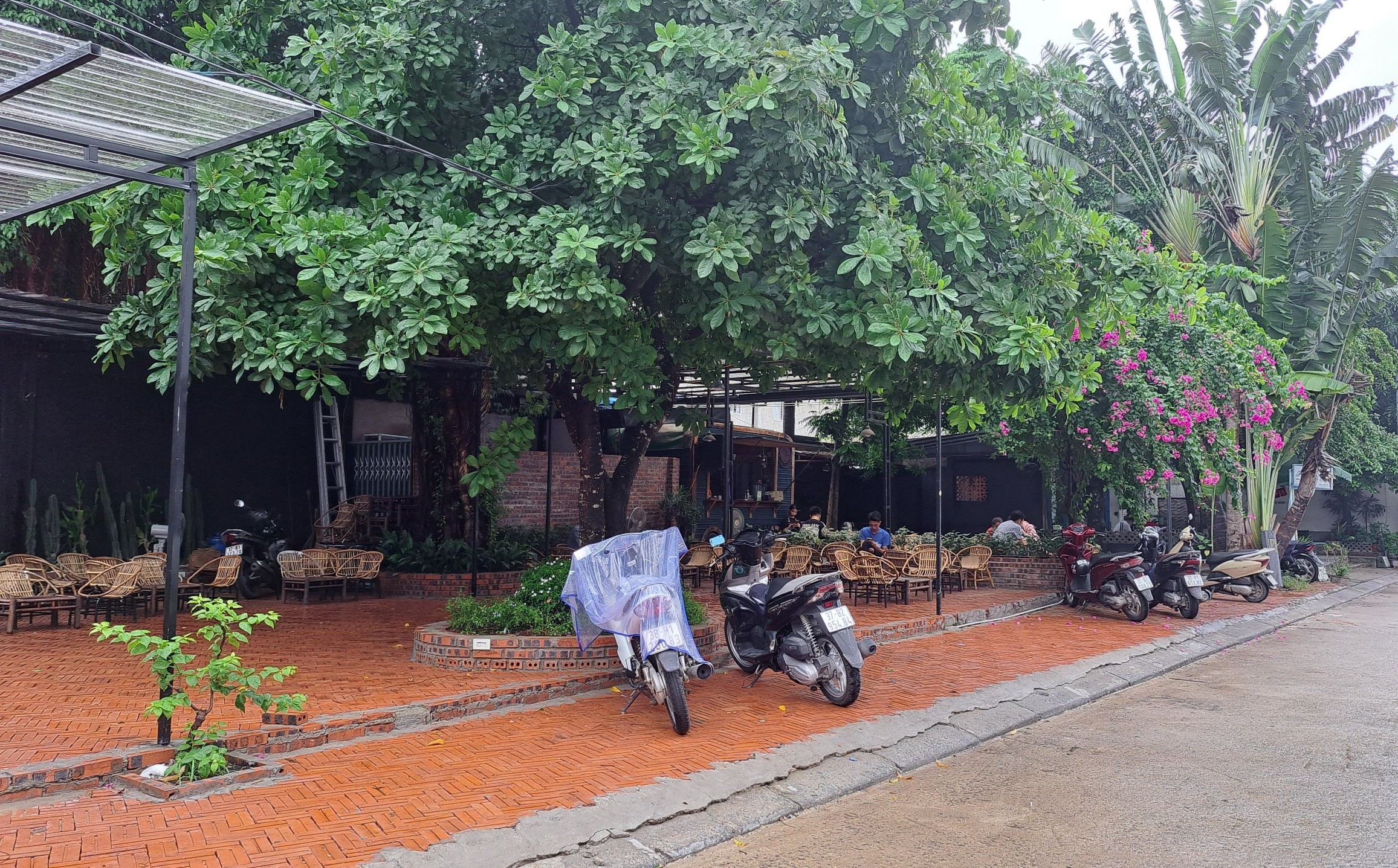 bna_Một góc cafe xanh mát ngõ 114 Lê Hồng Phong.jpg
