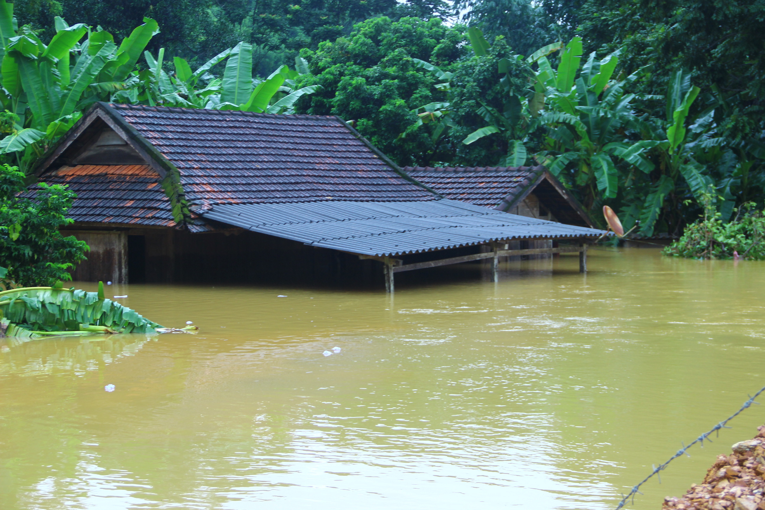 bna_Nhiều căn nhà của người dân huyện Quỳ Châu ngập trong biển nước ảnh Quang An.JPG