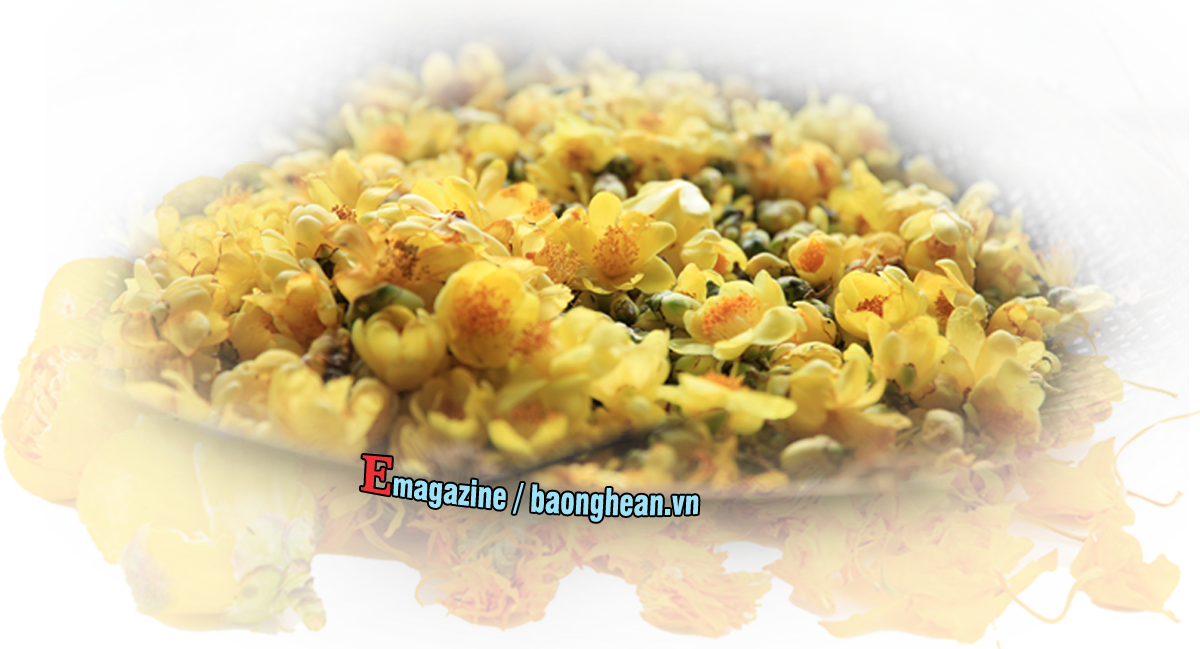 Chè hoa vàng, đặc sản riêng có của Quế Phong. Ảnh: T.P