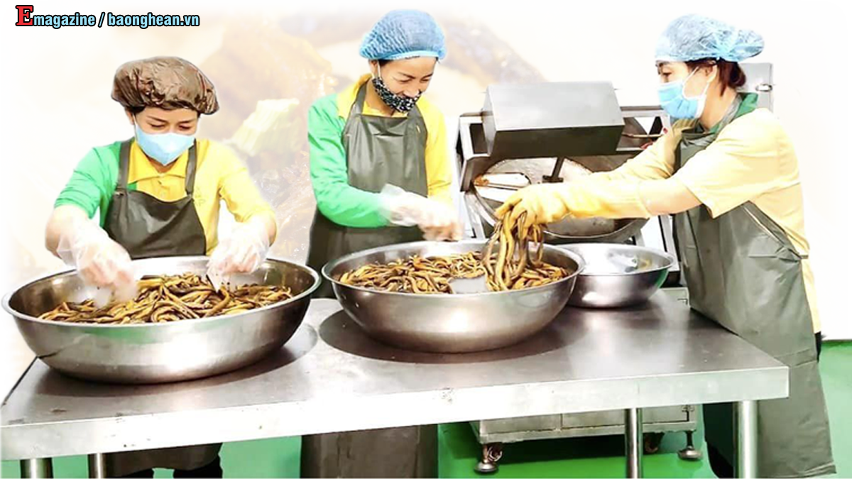 Sơ chế lươn. Ảnh: T.P