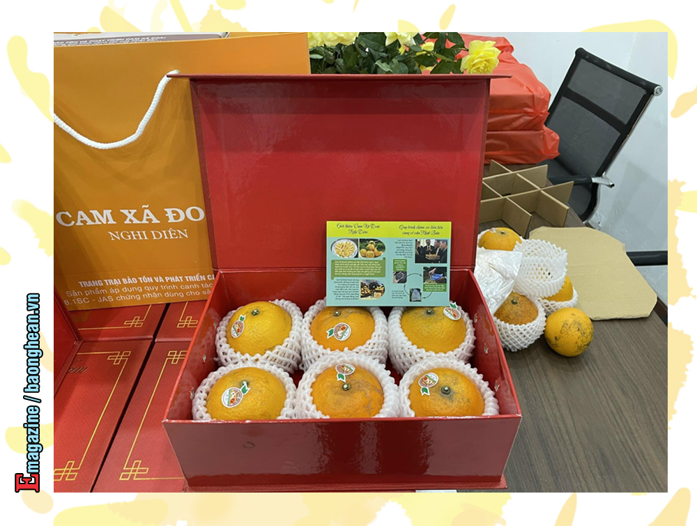 Cam Xã Đoài được đóng gói đẹp mắt. Ảnh: T.P