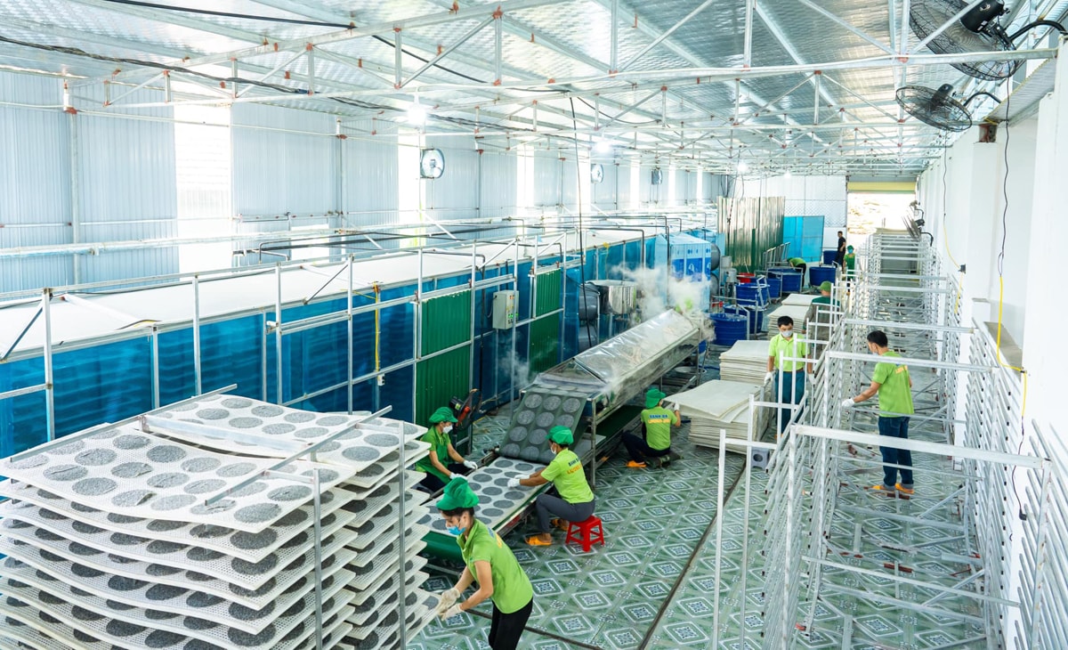 Dây chuyền nhà xưởng bánh đa Lương Sơn (huyện Đô Lương). Ảnh: T.P
