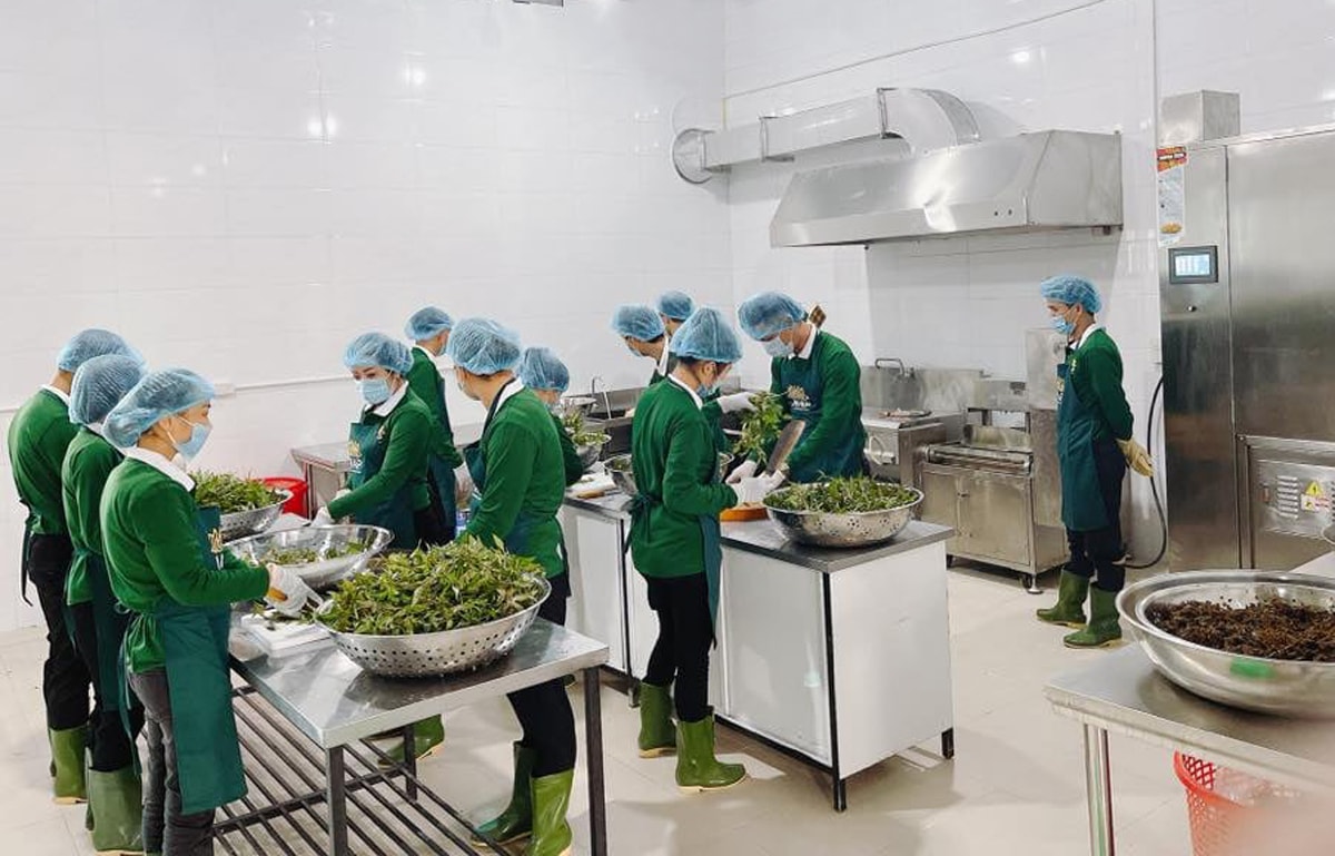 Sơ chế để làm sản phẩm miến lươn xuất khẩu. Ảnh: T.P