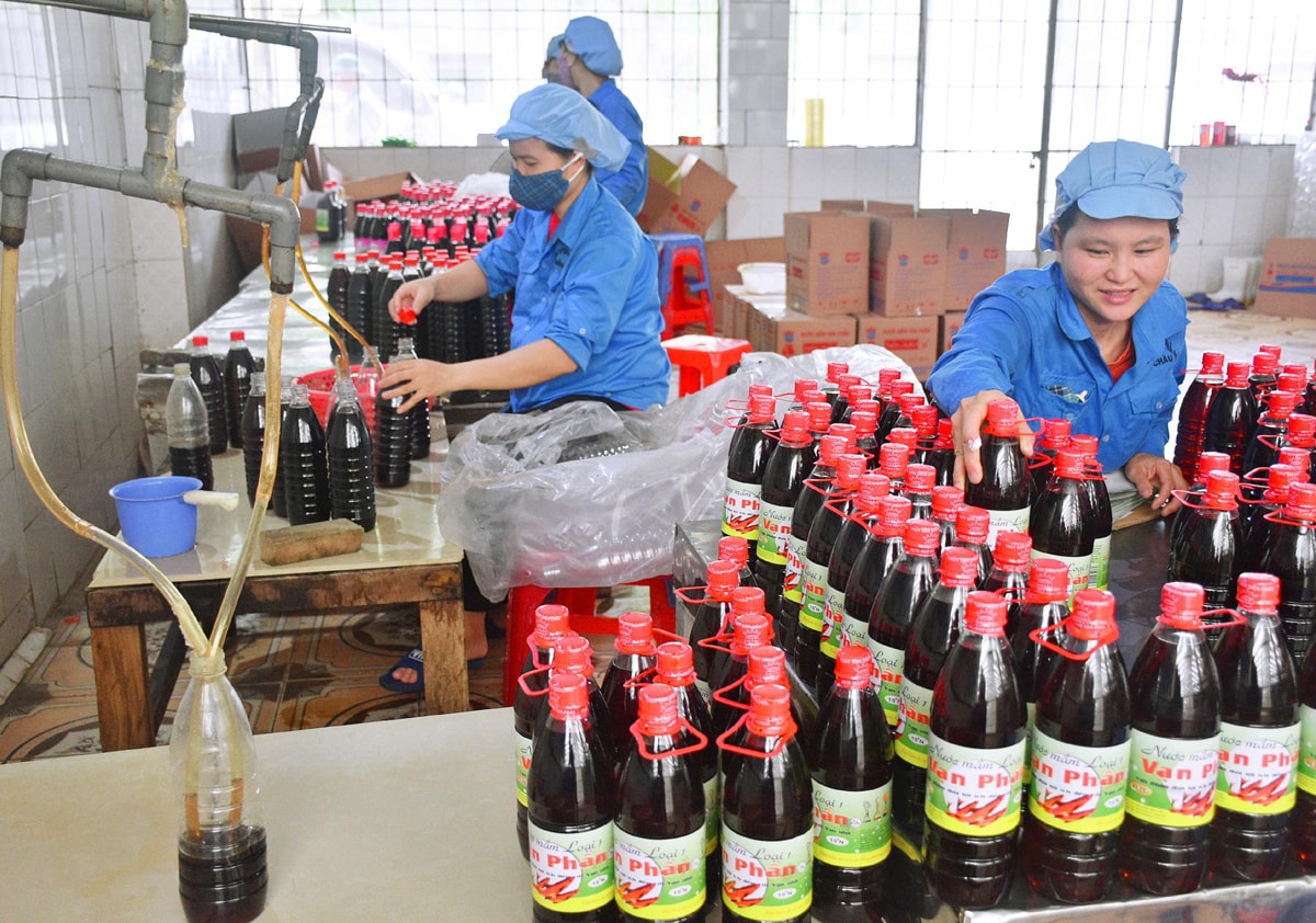 Cá cơm được trộn nhuyễn cùng muối trắng, ủ kỹ hơn 1 năm, đảo náo trên 300 lần... mới cho ra nước mắm, đến tay người tiêu dùng. Ảnh: Thu Hương