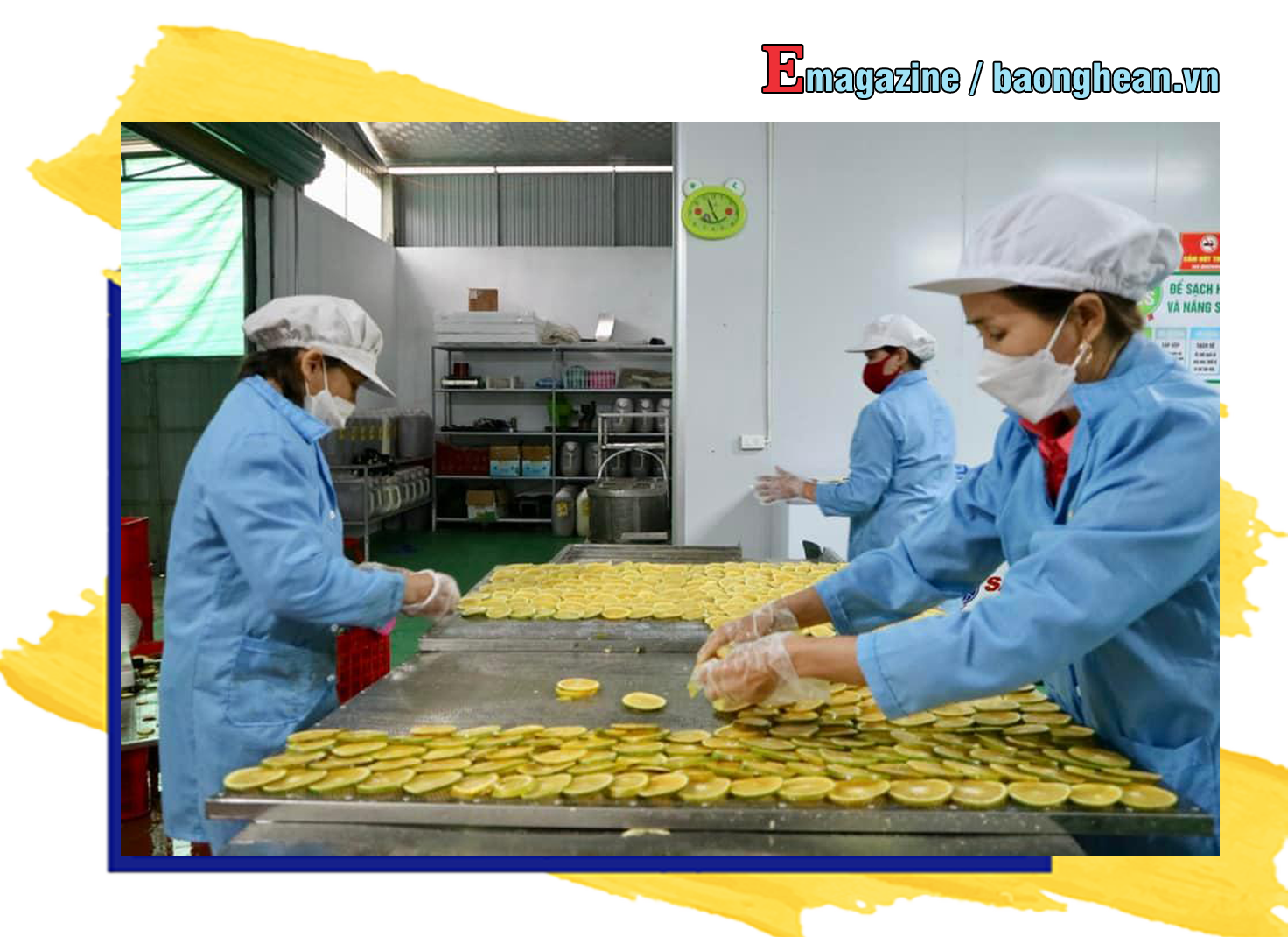 Chế biến cam sấy tại Công ty cổ phần HASAFOOD. Ảnh: T.P