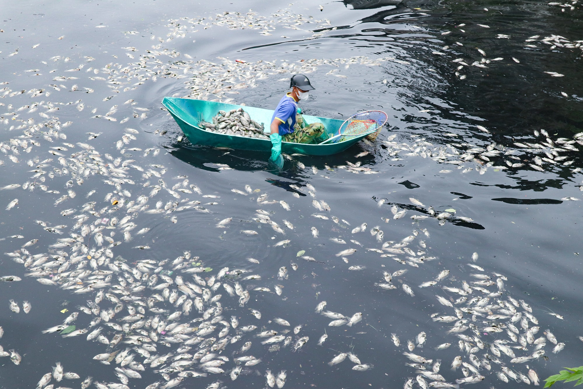 bna_thuyền.JPG