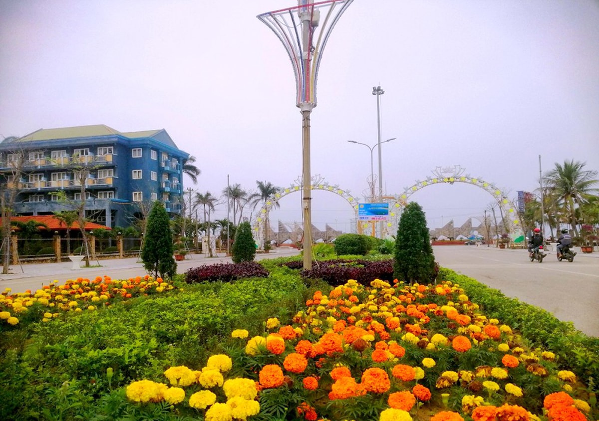 Các tuyến đường trên địa bàn thị xã Cửa Lò ngập tràn sắc màu với nhiều loại hoa, cây cảnh rực rỡ. Ảnh tư liệu: Q.A