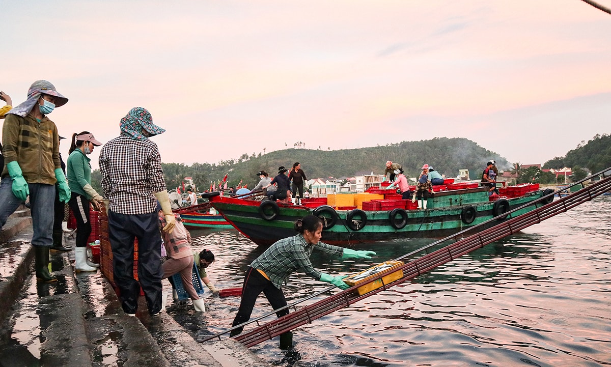 Vận chuyển cá từ tàu xuống bến. Ảnh: Thanh Phúc