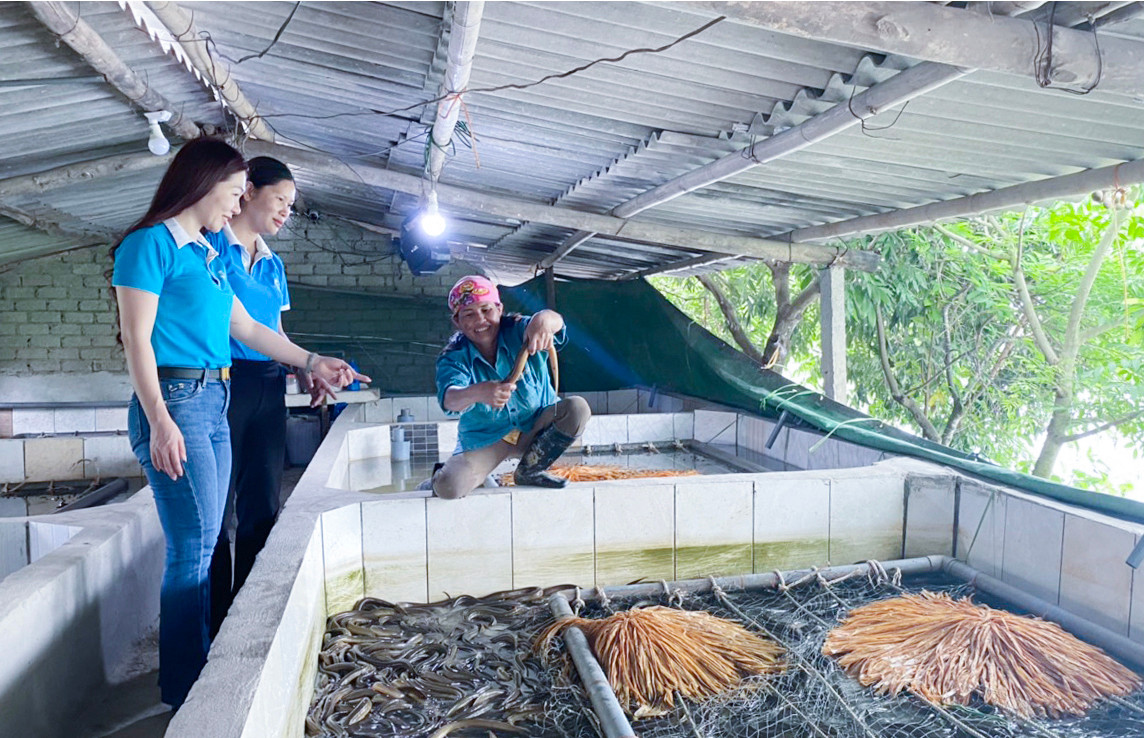 bna_ Hội Phụ nữ huyện Quỳnh Lưu thăm mô hình nuôi lươn của hội viên phụ nữ.jpg