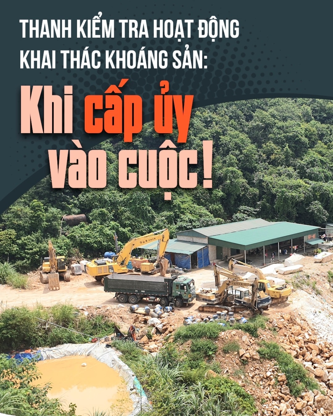 bna_Thuế 15. Nhật Lân.jpg