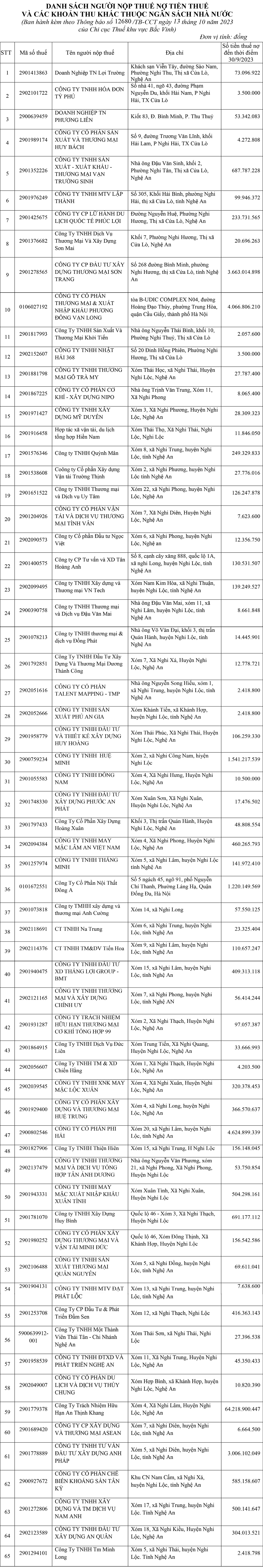 bna_Danh sách nợ thuế 2.png