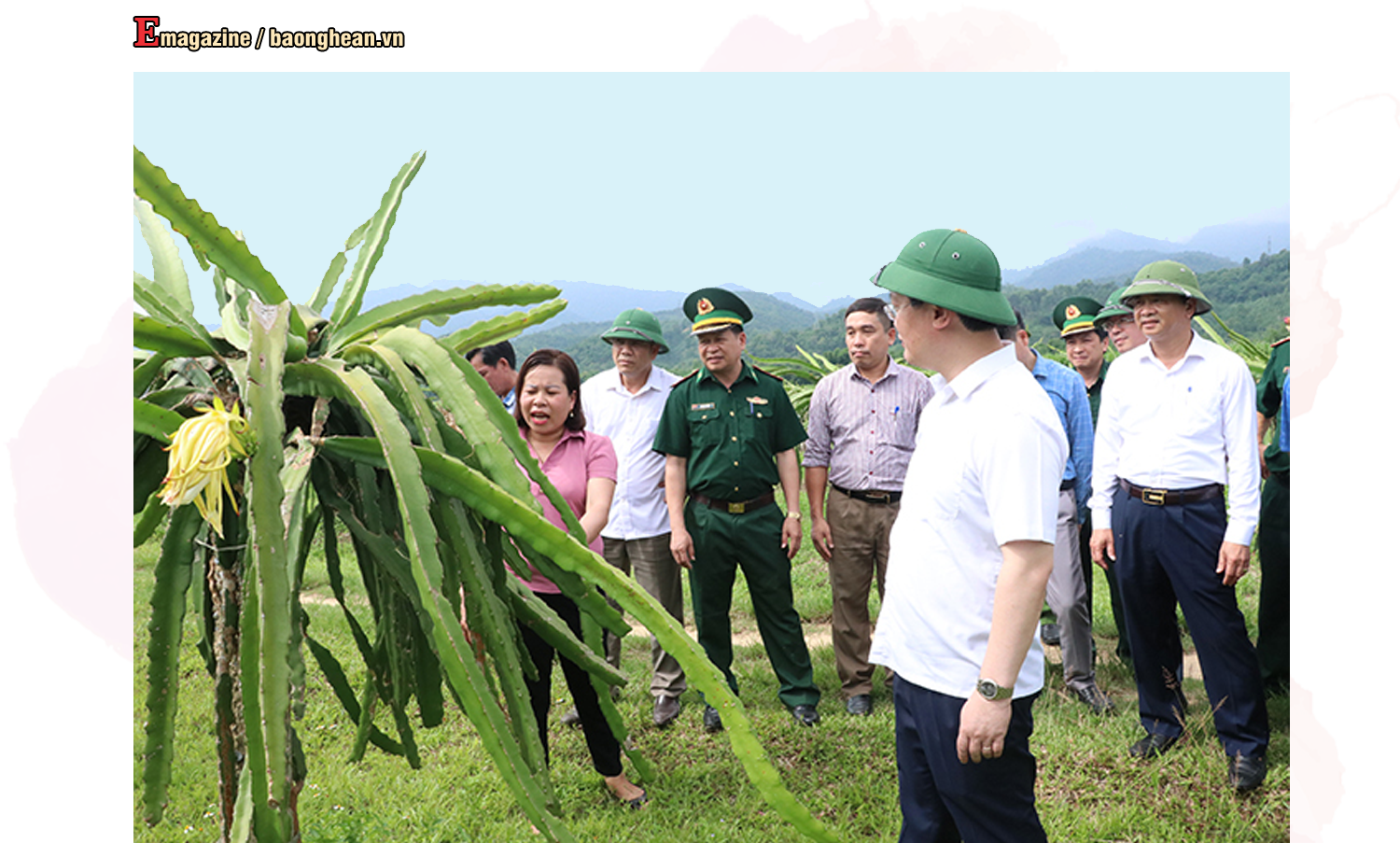 Chủ tịch UBND tỉnh Nguyễn Đức Trung thăm mô hình cây thanh long ruột đỏ ở xã Tam Quang (Tương Dương). Ảnh tư liệu: Phan Quỳnh