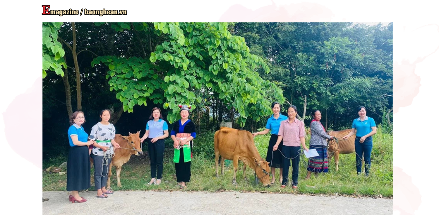 Hội LHPN huyện Kỳ Sơn tiếp nhận bò giống từ Hội LHPN Nam Đàn hỗ trợ mô hình sinh kế cho hội viên phụ nữ nghèo. Ảnh tư liệu: CSCC