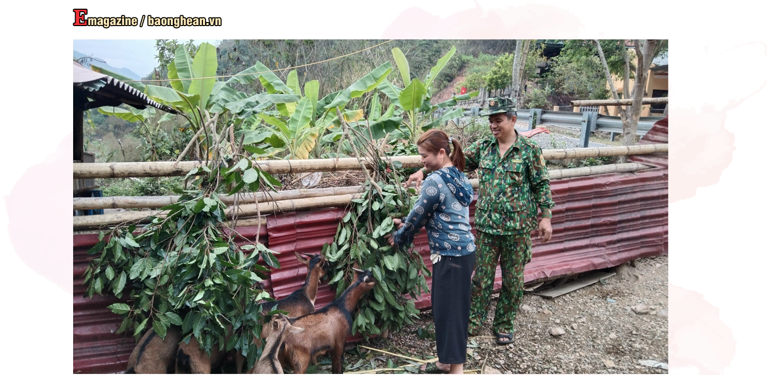 Gia đình chị Vi Thị Dung ở bản Piêng Mựn, xã Mai Sơn (Tương Dương) được Đồn Biên phòng Nhôn Mai hỗ trợ xây dựng mô hình sinh kế quân dân kết hợp. Ảnh: G.H