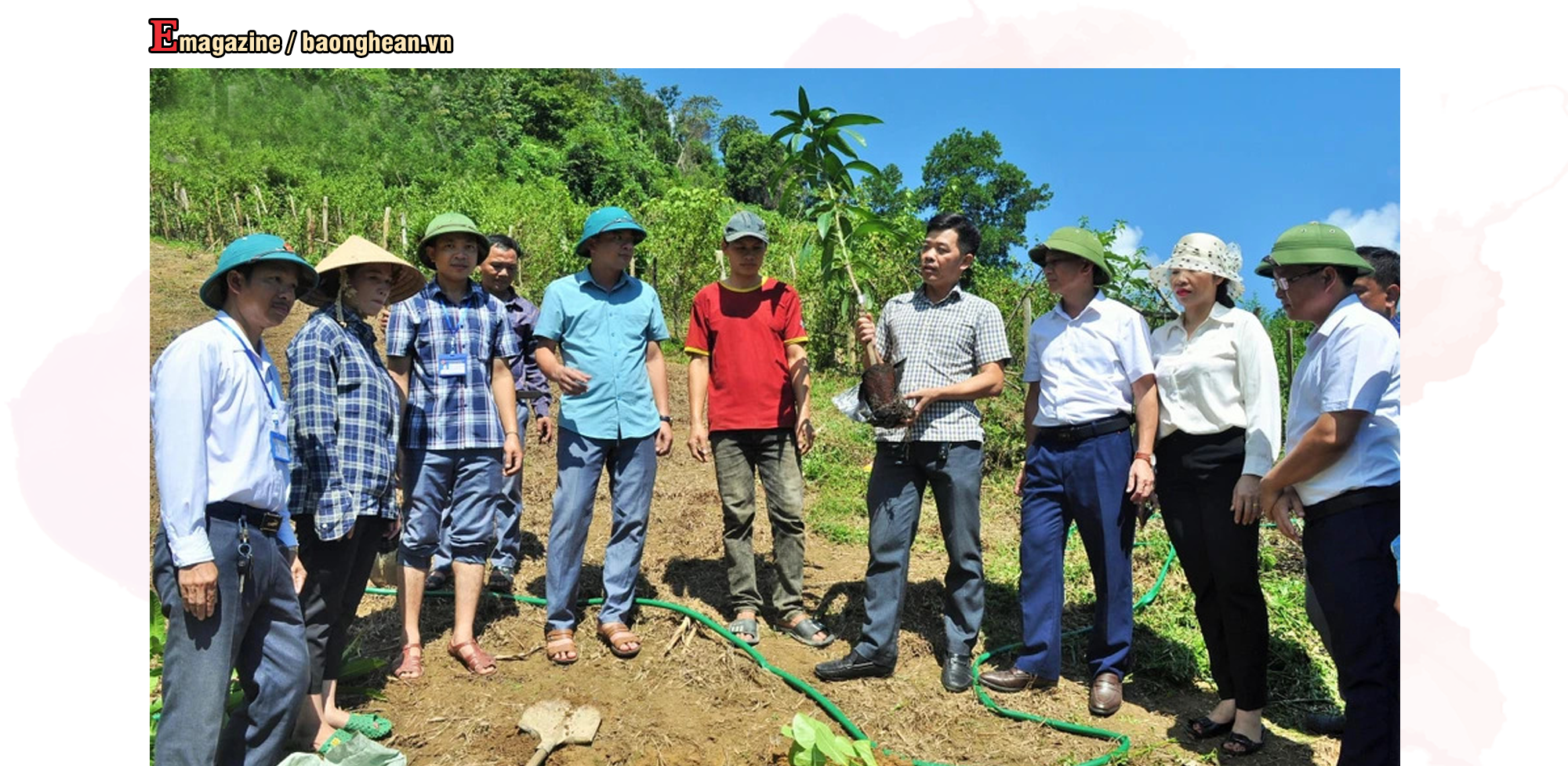 Cán bộ kỹ thuật Sở Nông nghiệp và Phát triển nông thôn hướng dẫn kỹ thuật trồng cây xoài cho người dân Xiêng My (Tương Dương). Ảnh tư liệu: H.V
