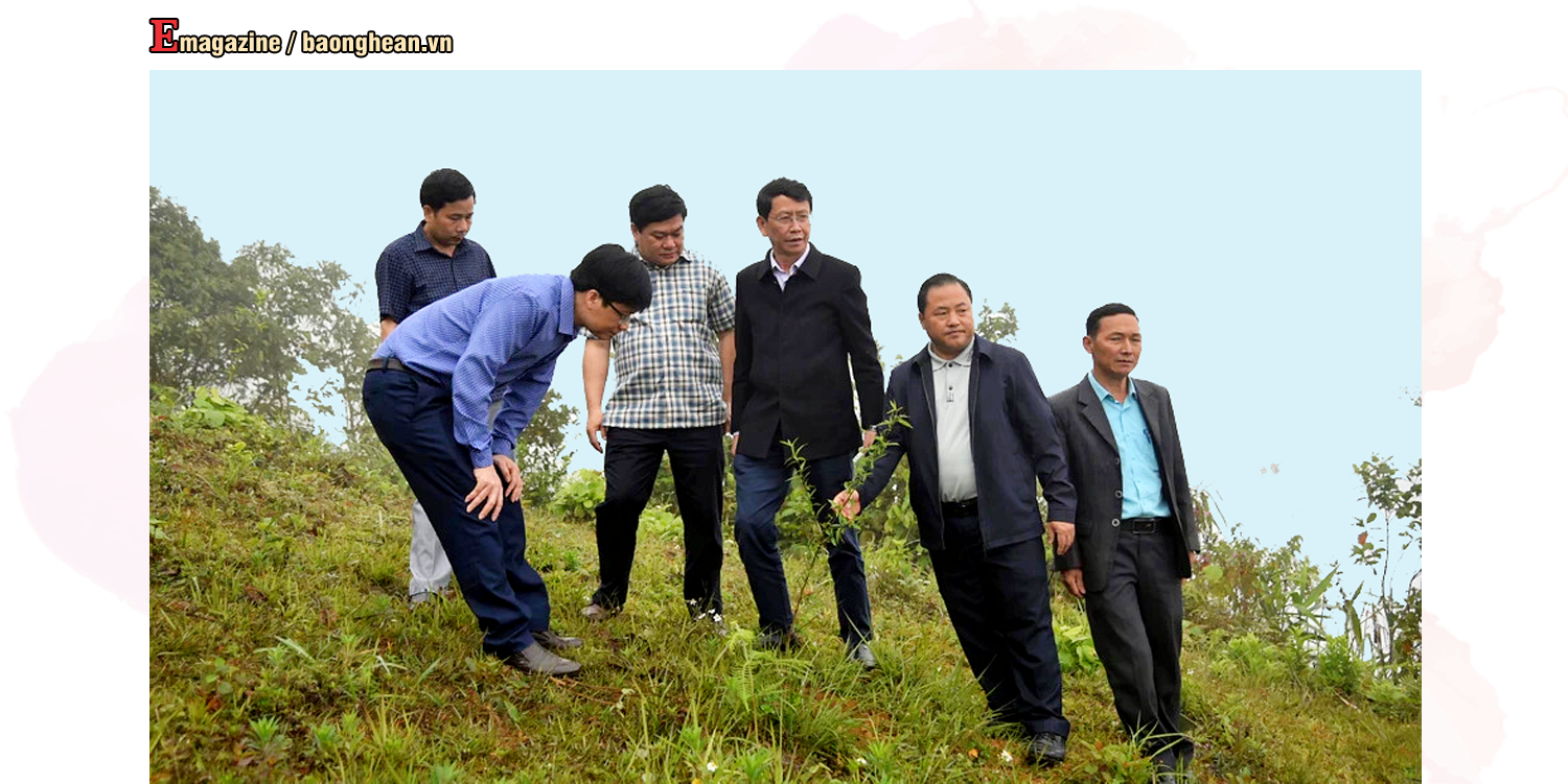 Đại diện lãnh đạo các sở, ngành và Ủy ban nhân dân huyện Kỳ Sơn kiểm tra mô hình trồng đào ở xã Tây Sơn. Ảnh: Minh Quân