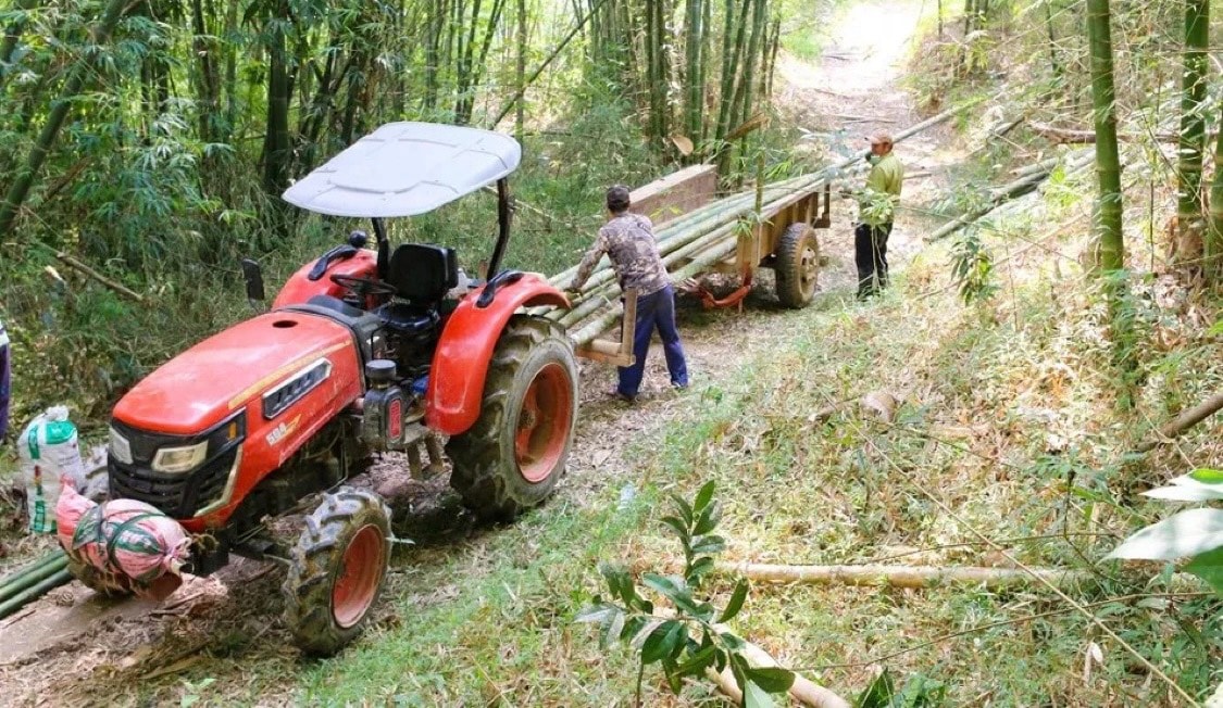 Người dân huyện Tương Dương thu hoạch mét. Ảnh: Đình Tuân