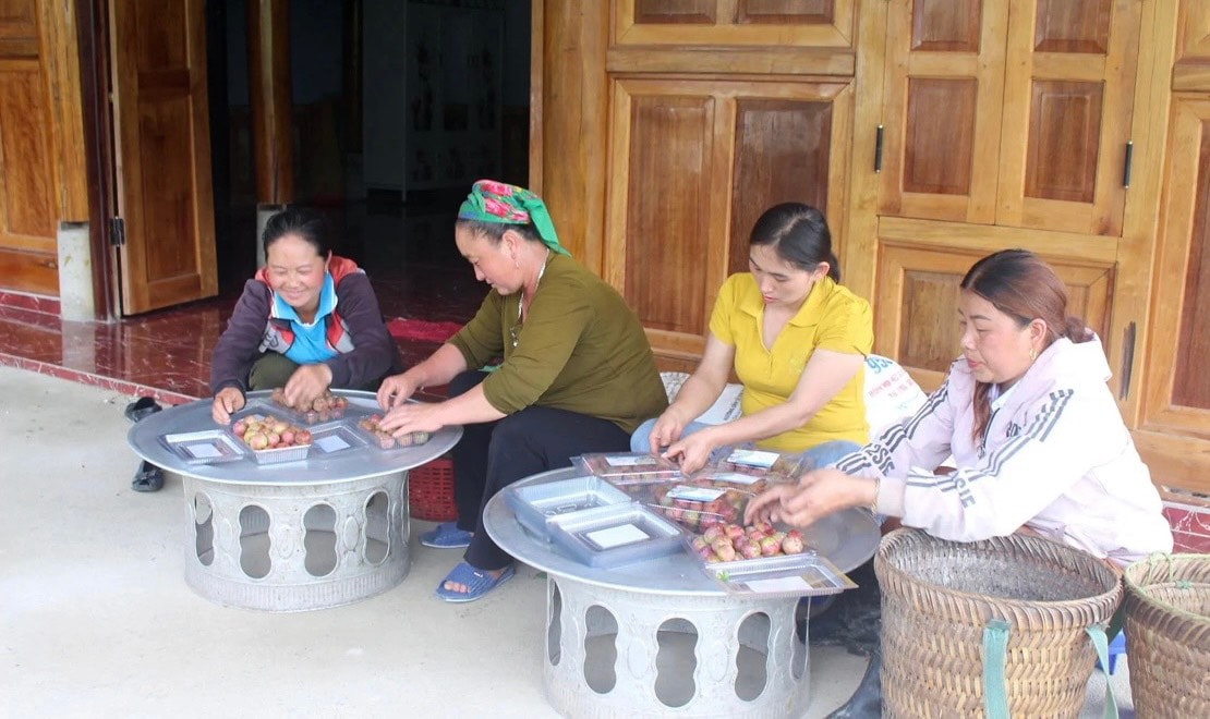 Người dân Mường Lống đóng gói, dán nhãn